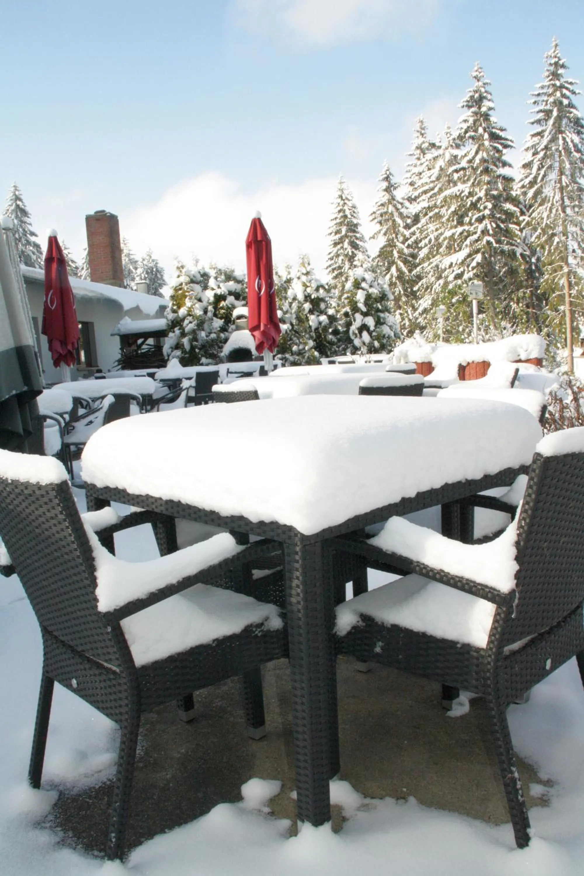 Restaurant/places to eat in Waldhotel Rennsteighöhe