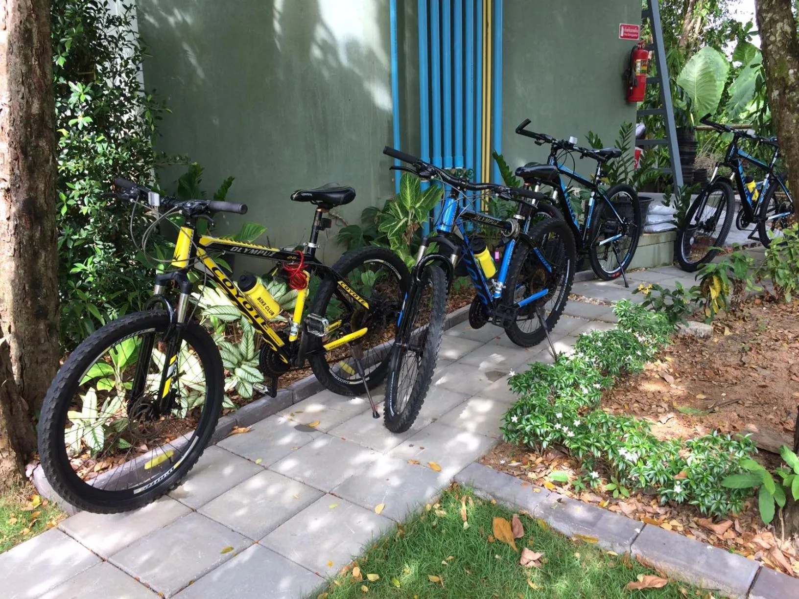 Cycling in AT Bangsak Resort