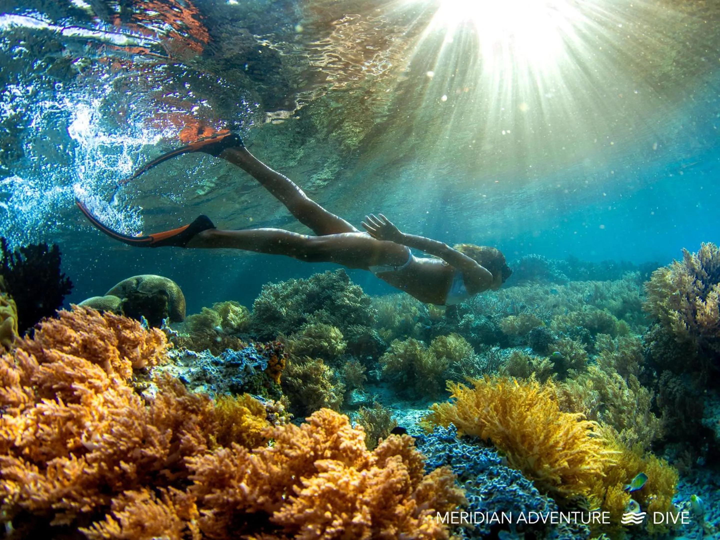 Activities in Meridian Adventure Marina Club & Resort