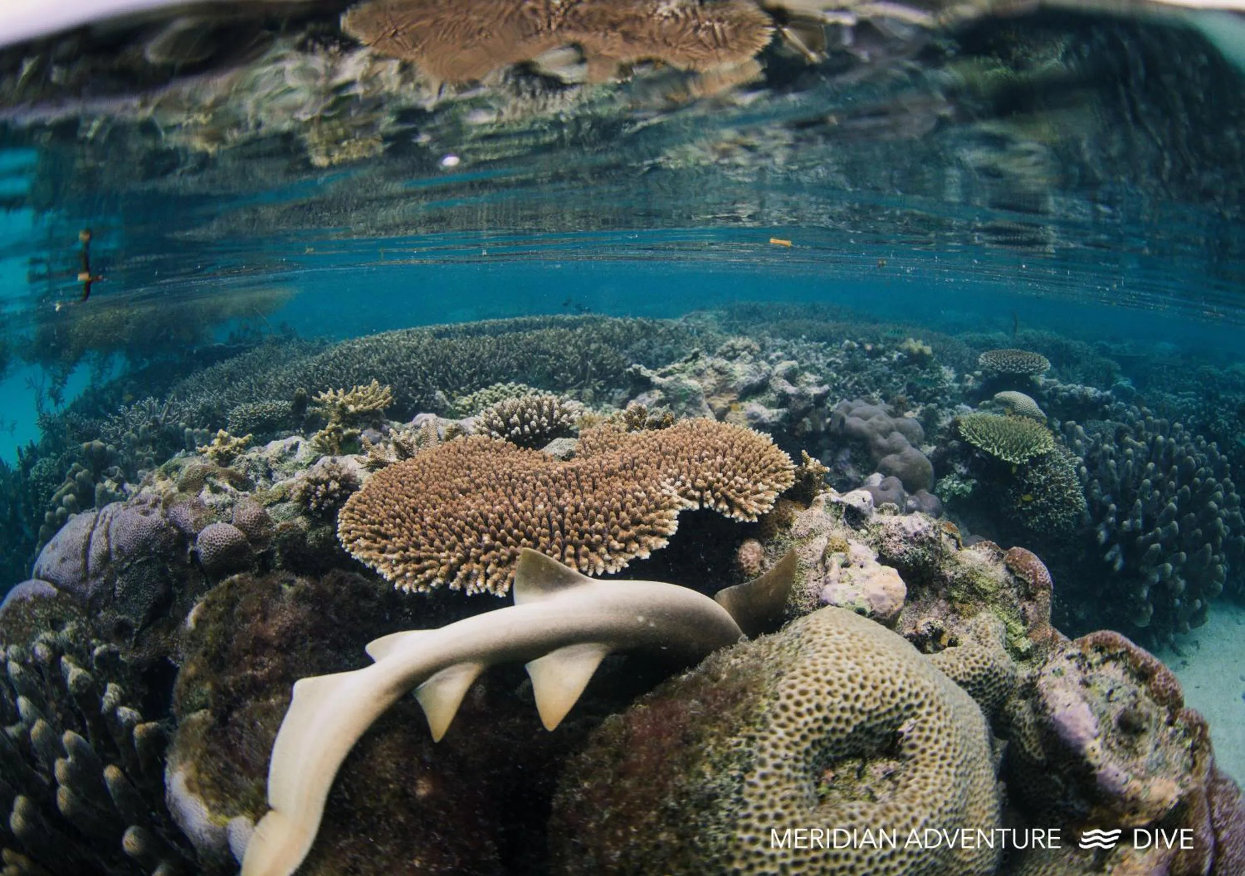 Off site in Meridian Adventure Marina Club & Resort