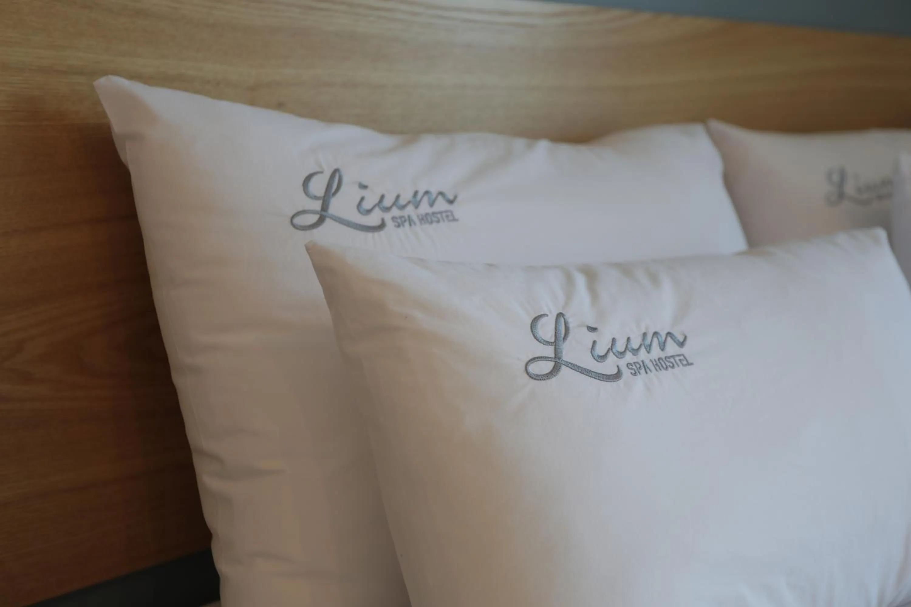 Bed in Lium Spa Hostel