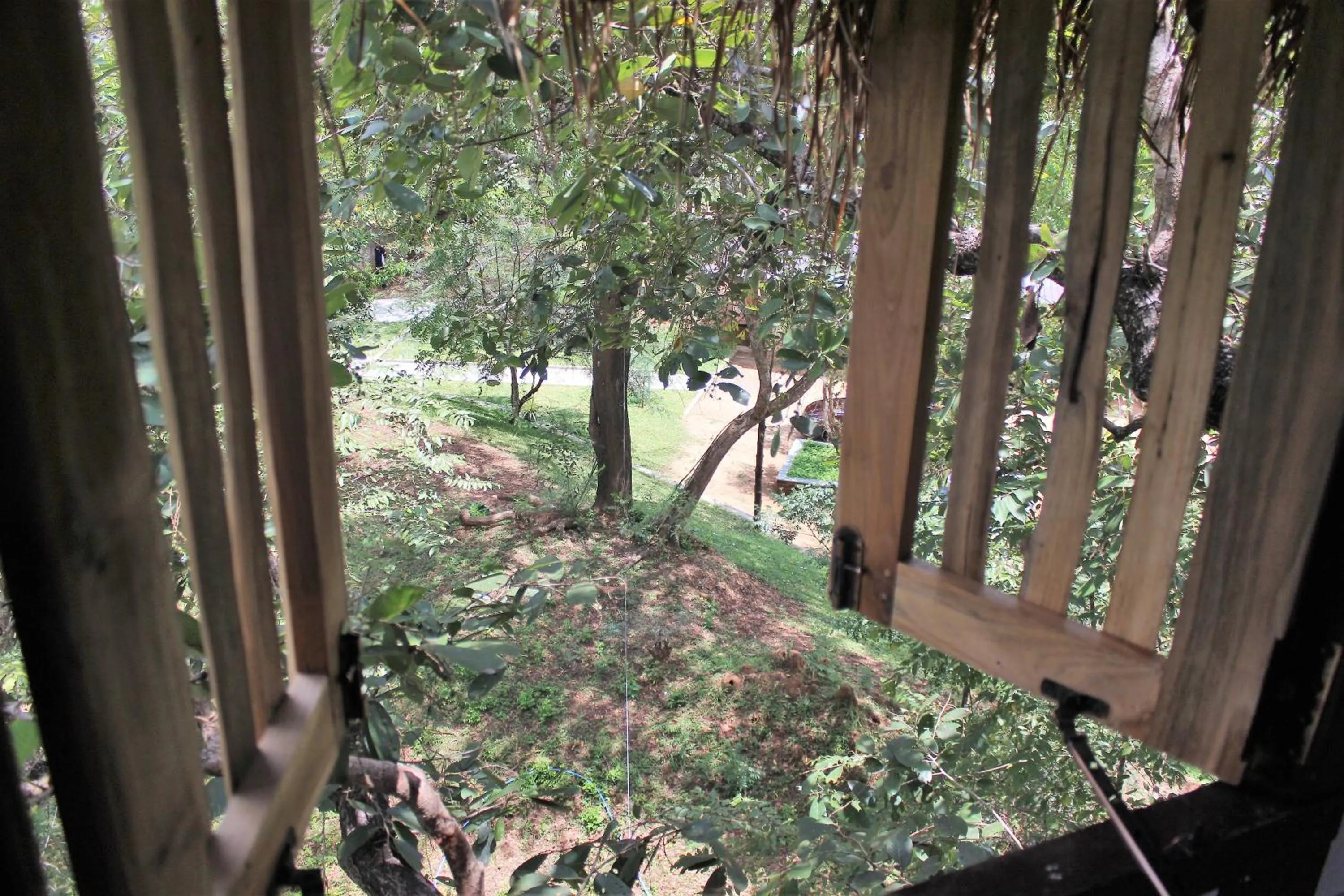 Garden view in Wildescape Polonnaruwa