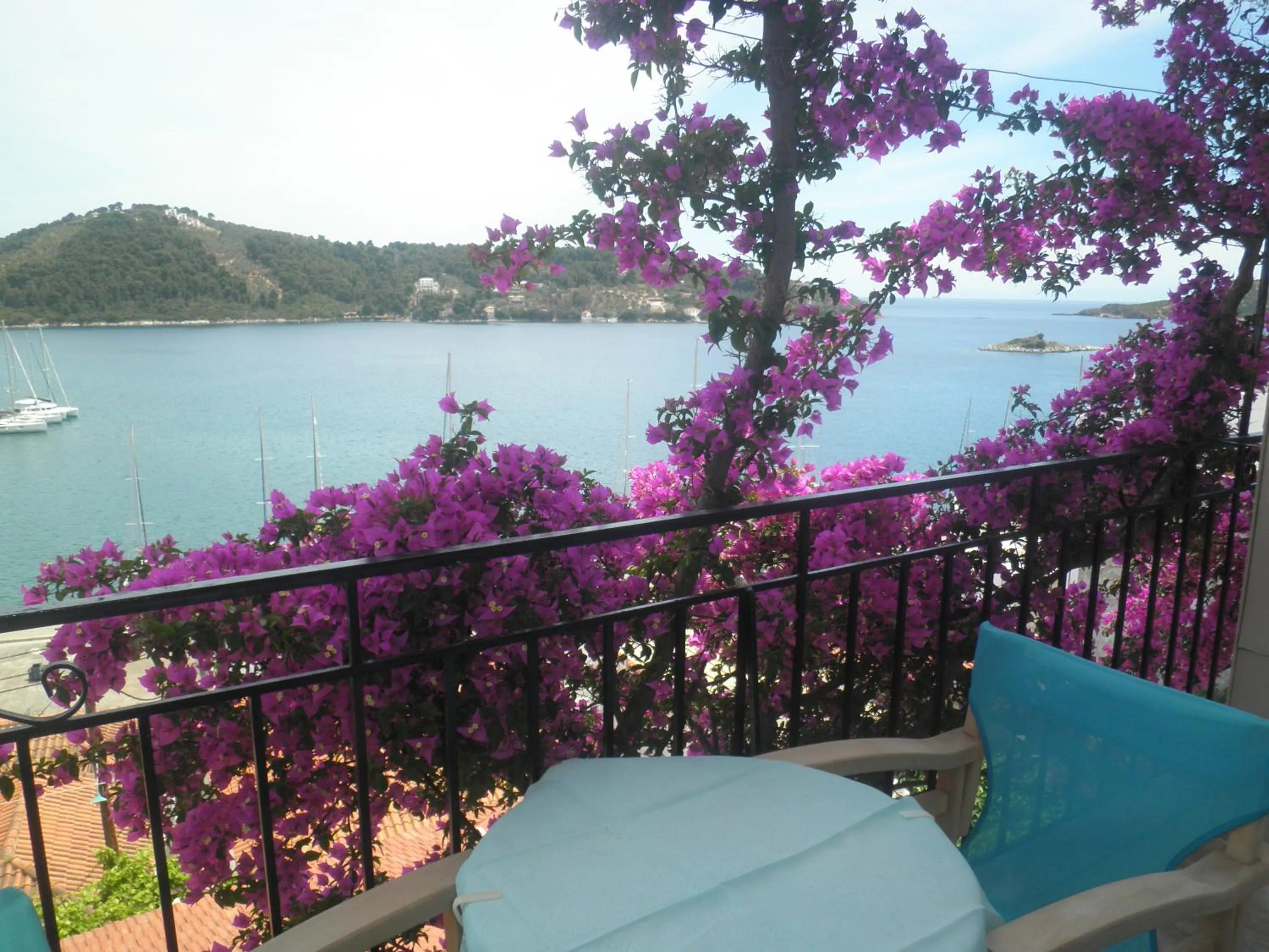 View (from property/room) in Babis