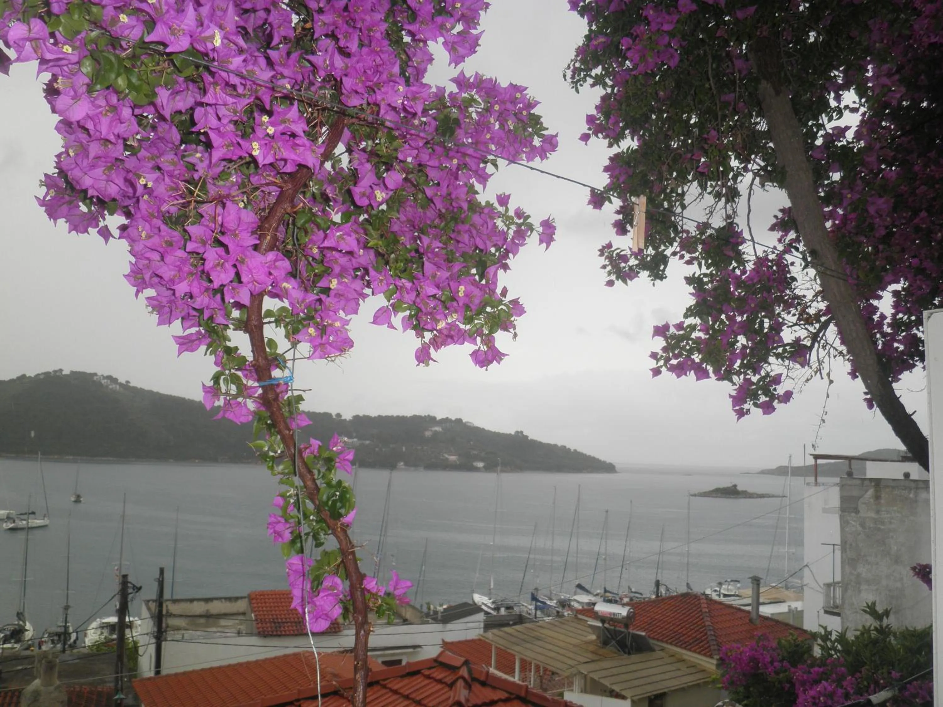 View (from property/room) in Babis