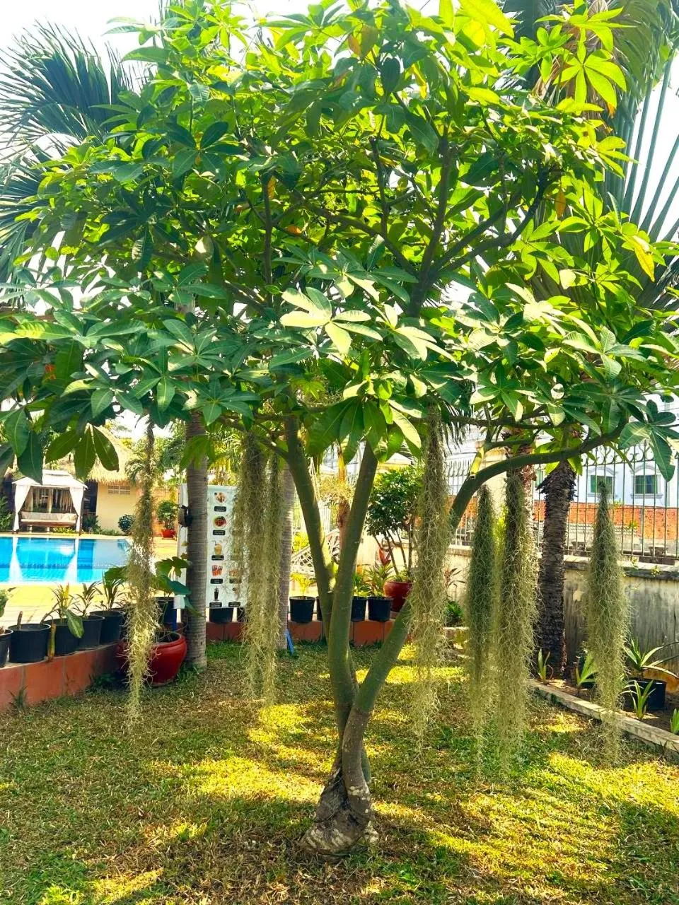 Swimming pool in Riviera Hotel & Resort Kep