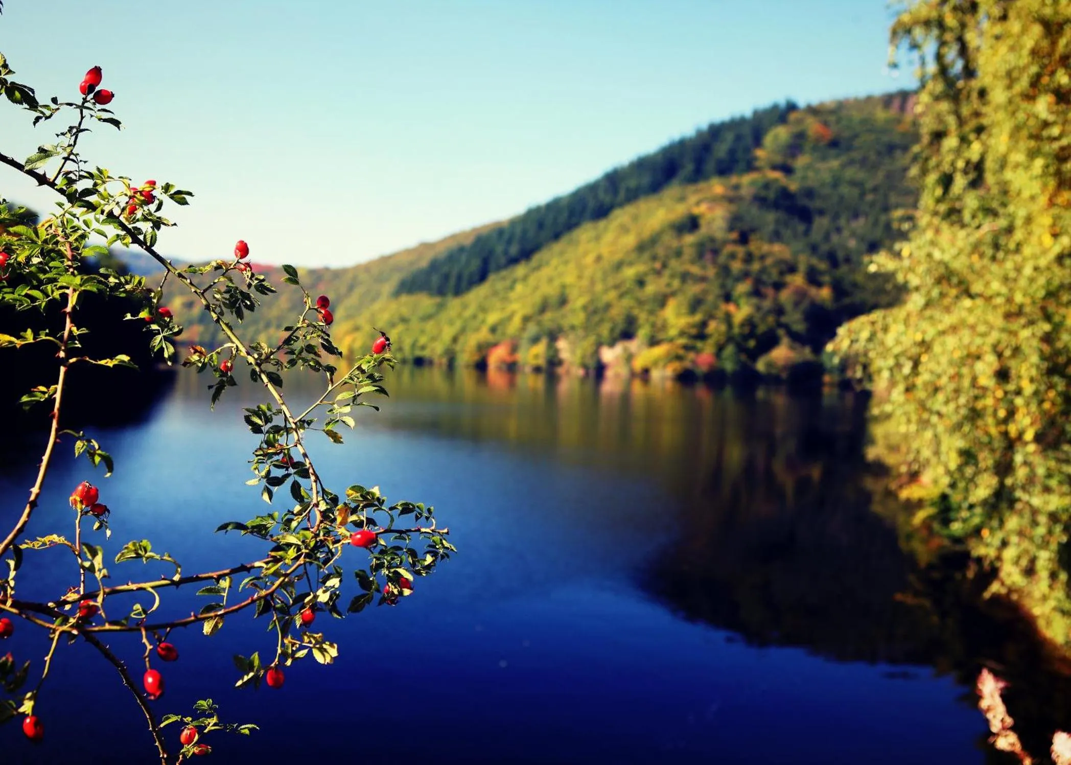 Off site in Hotel Seemöwe