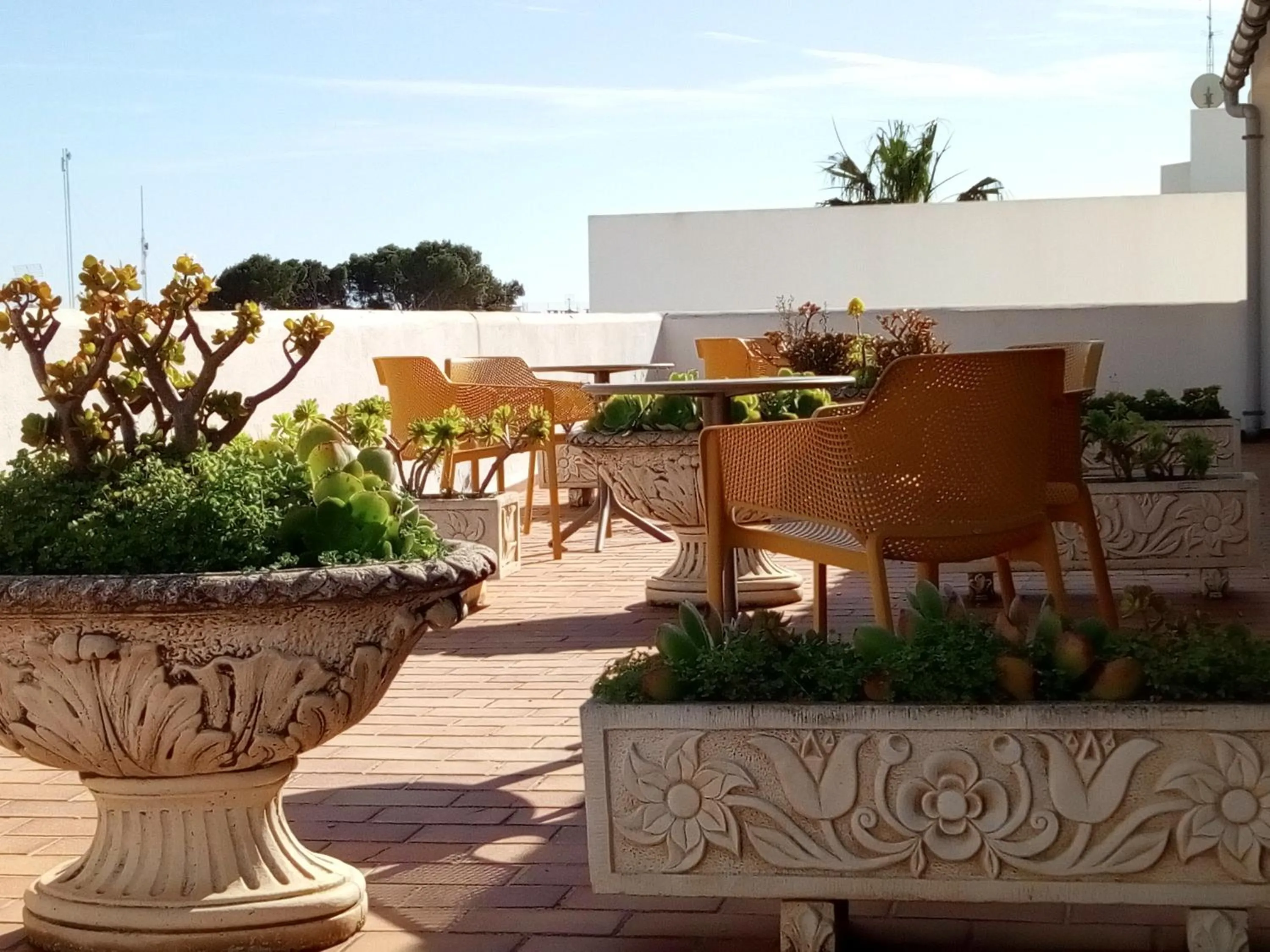 Day in Hotel Ses Puntetes