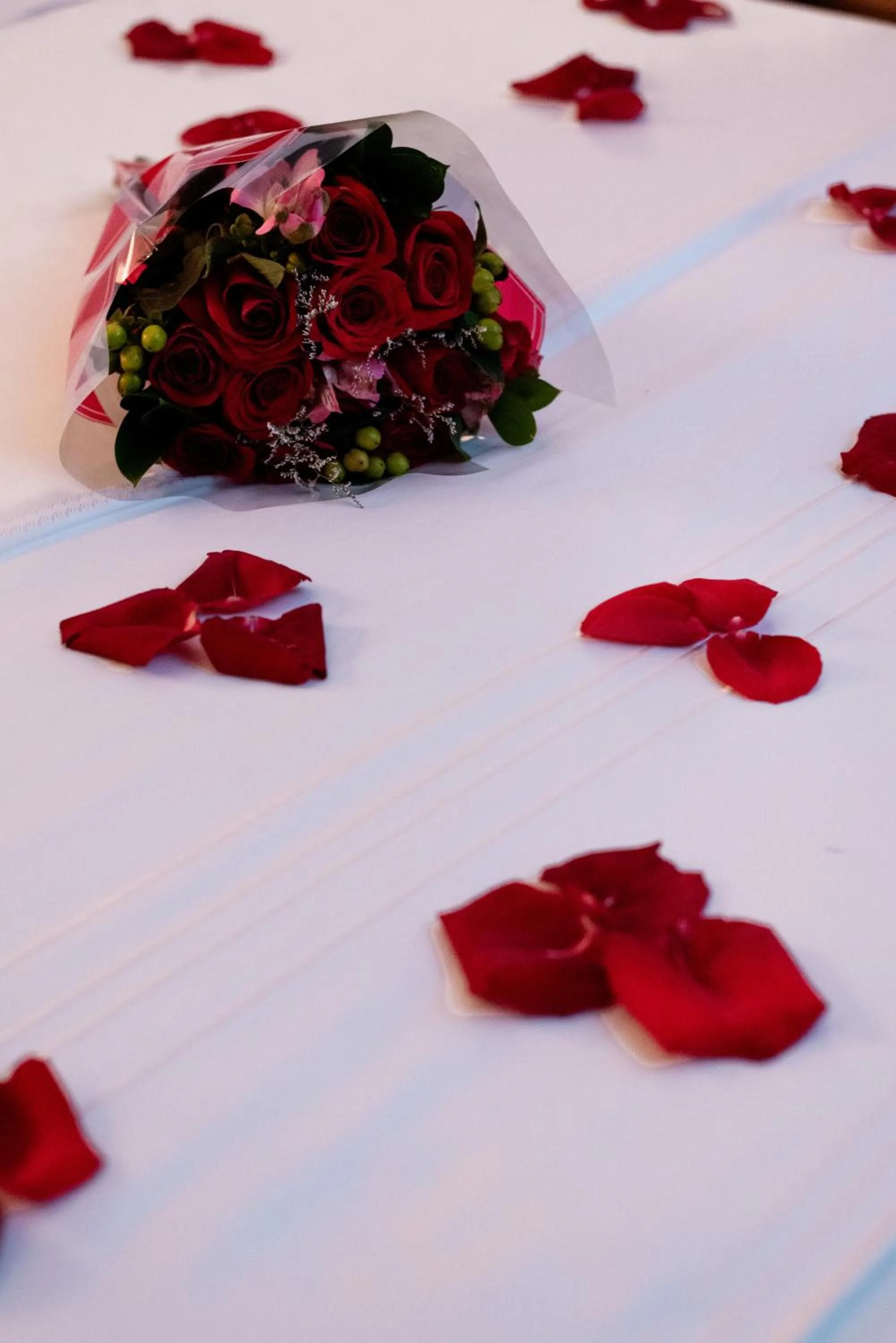 Hotel Cabrera Imperial By key 33