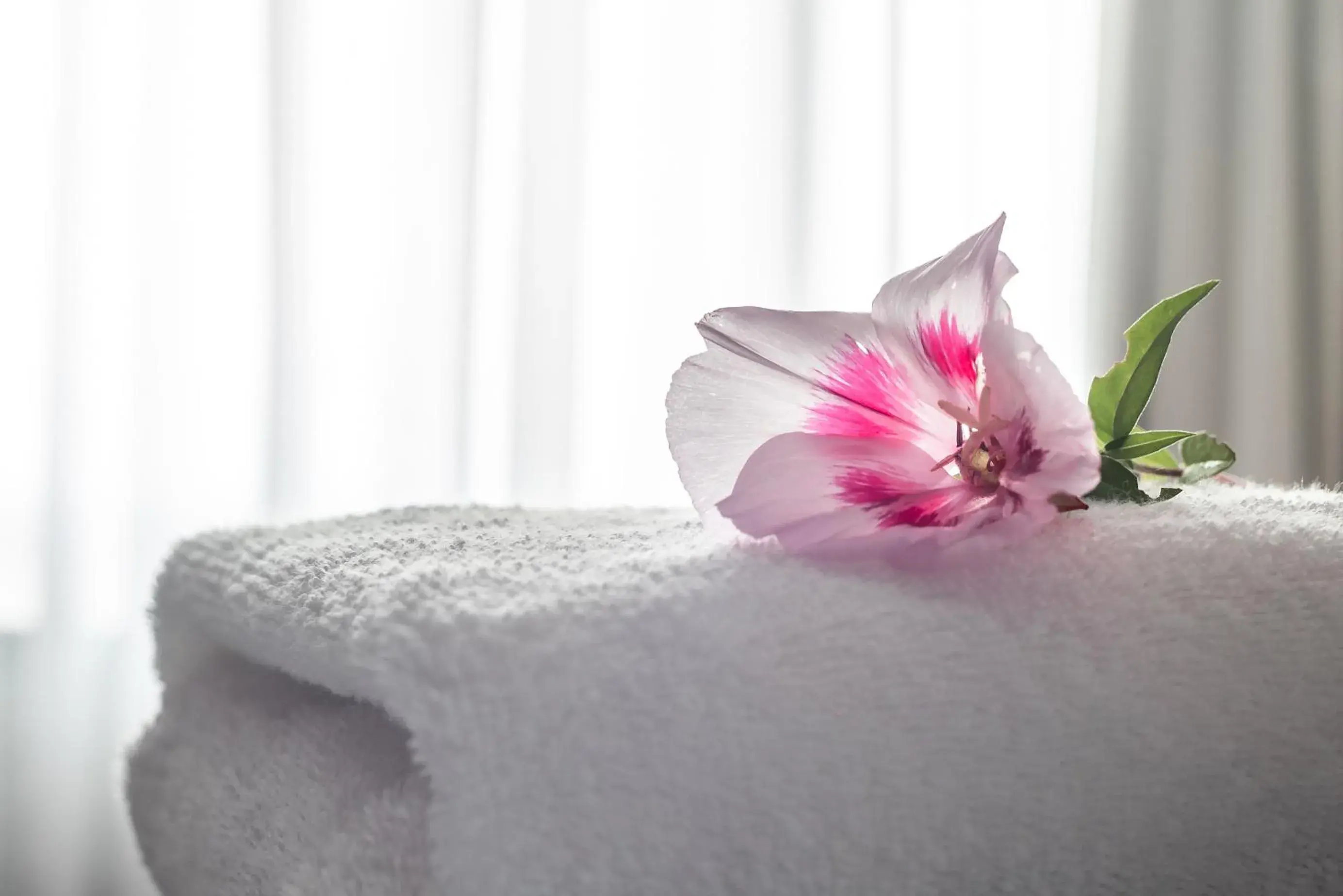 Double or Twin Room in Pudu Lodge Double or Twin Room in Pudu Lodge