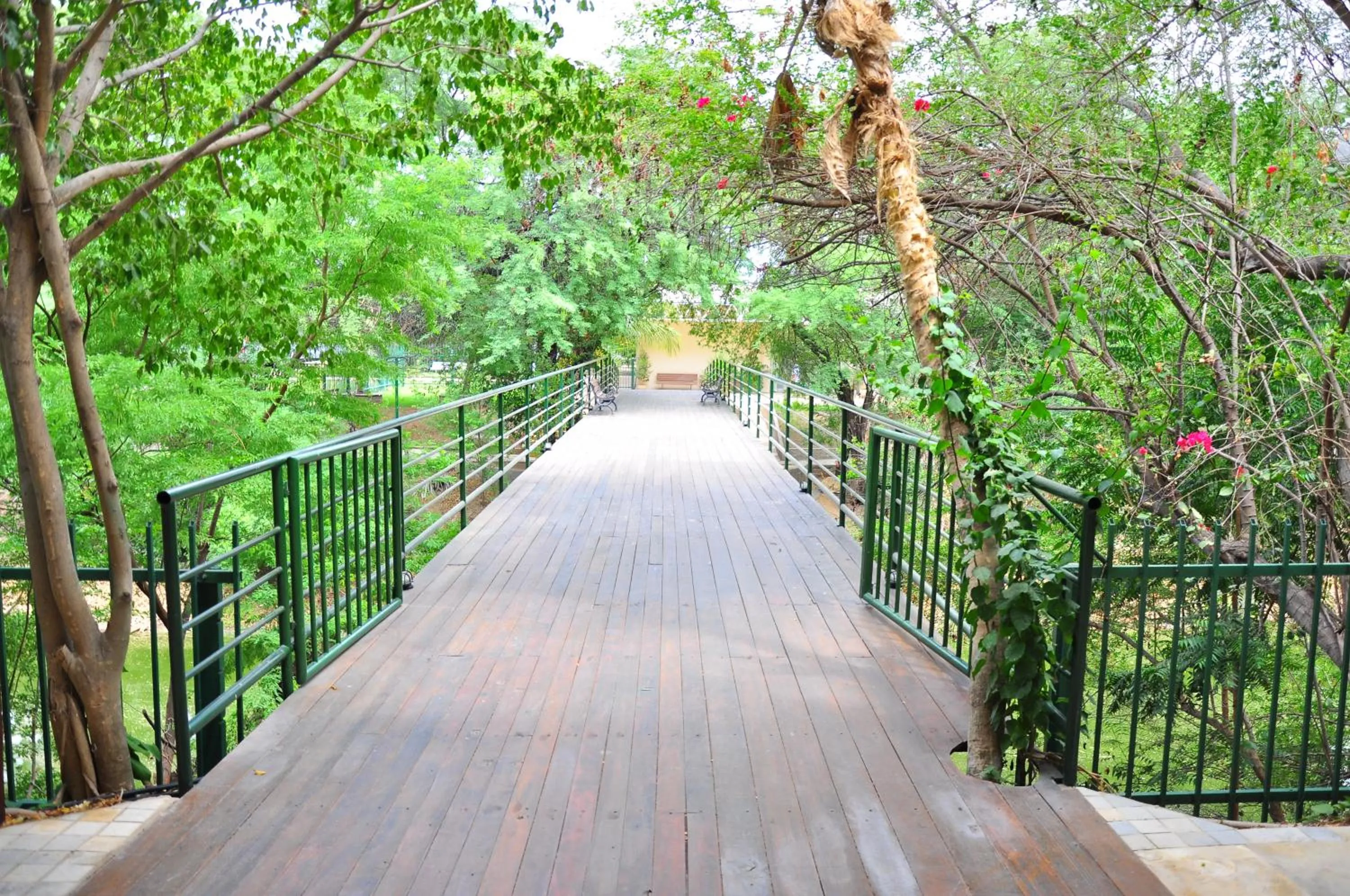 Garden in Hotel VillaOeste
