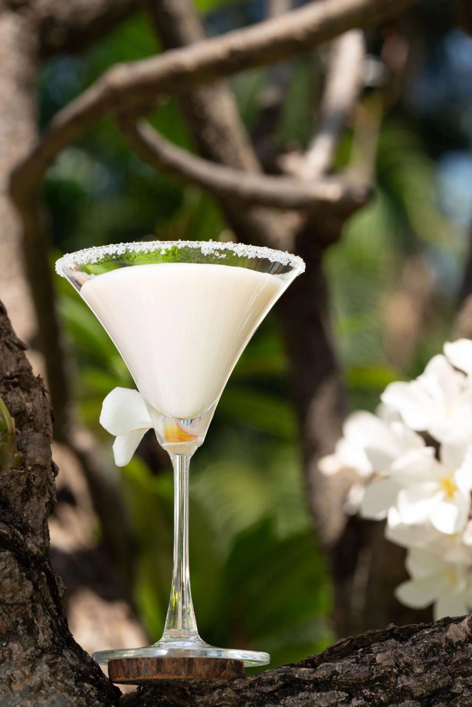 Other in Radisson Blu Resort Temple Bay Mamallapuram