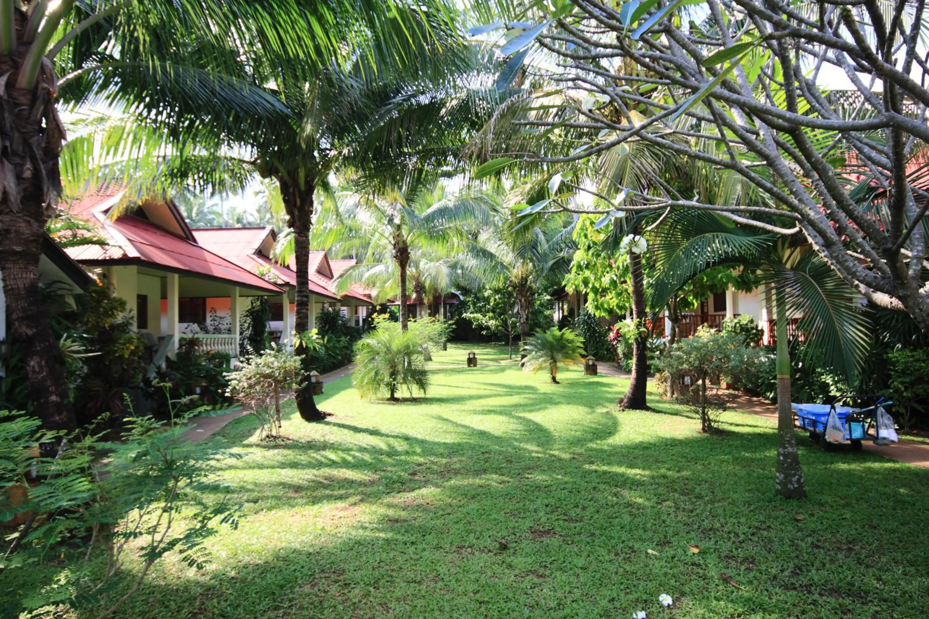 Day in Fullmoon House Samui