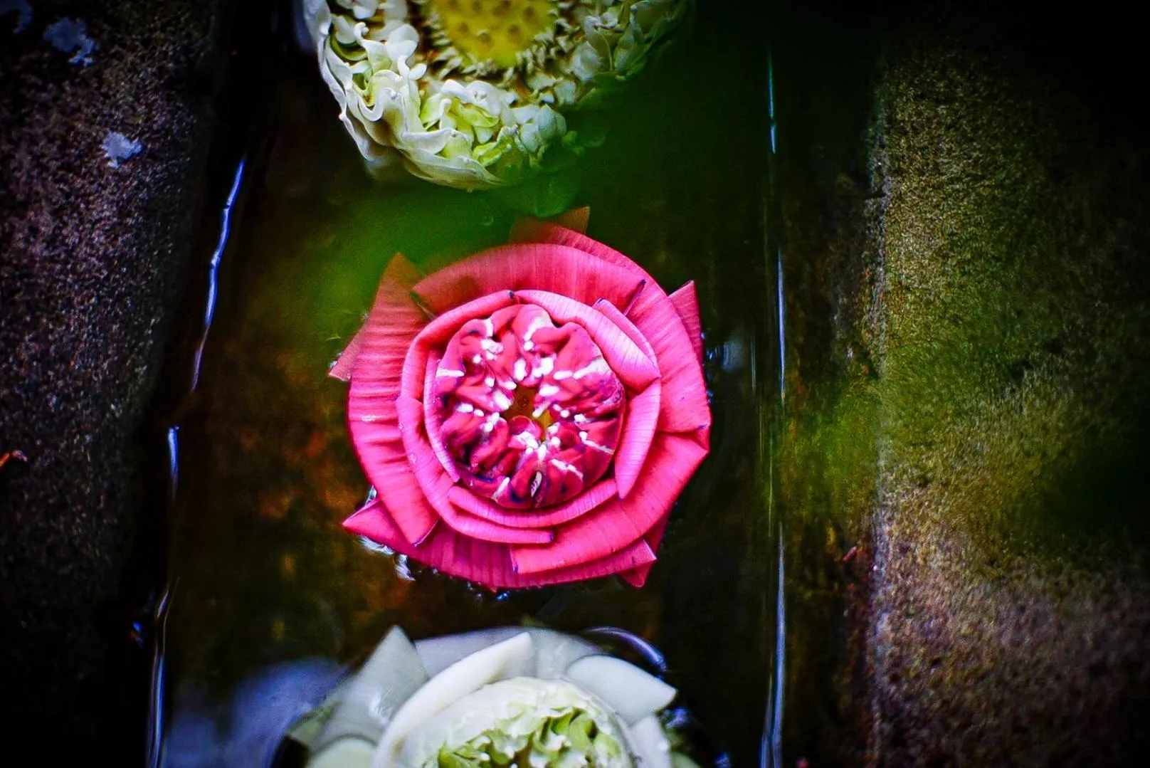 Decorative detail in Golden Temple Hotel