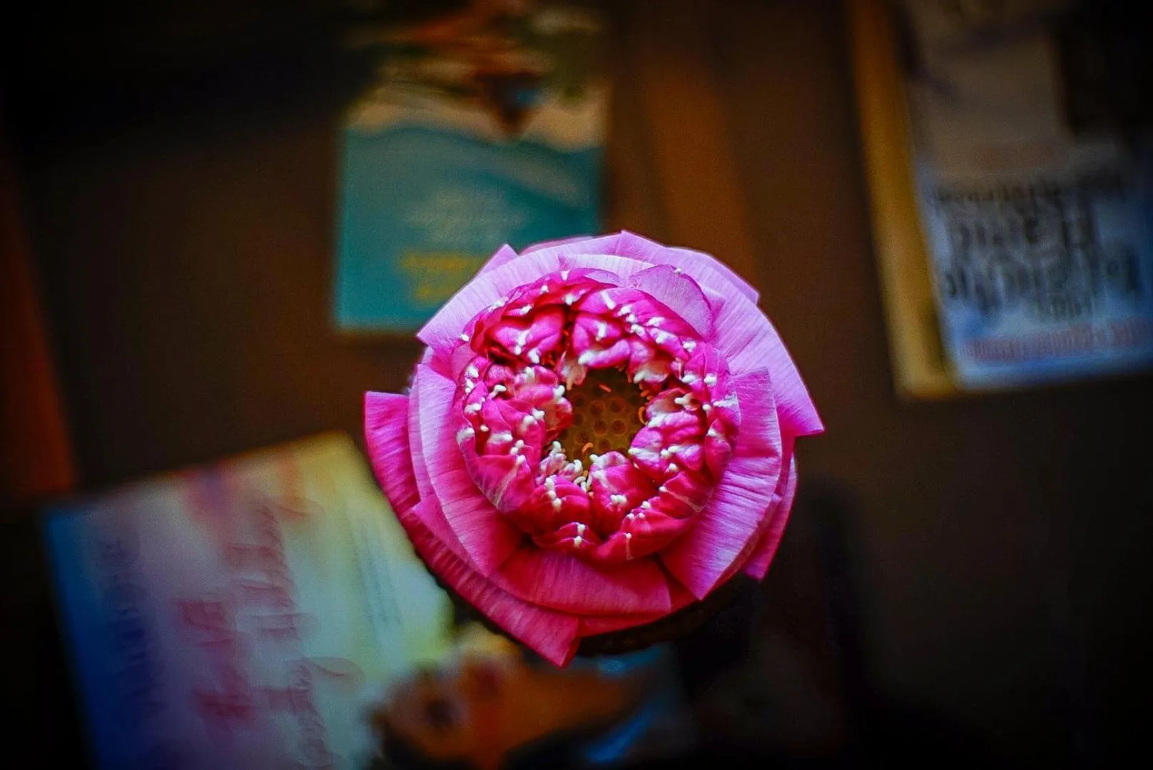 Decorative detail in Golden Temple Hotel