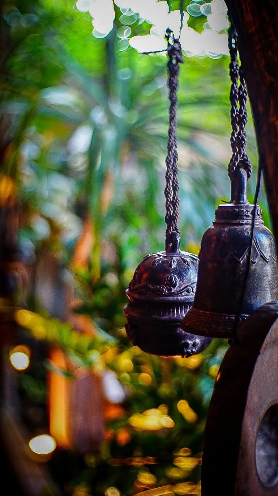 Garden in Golden Temple Hotel
