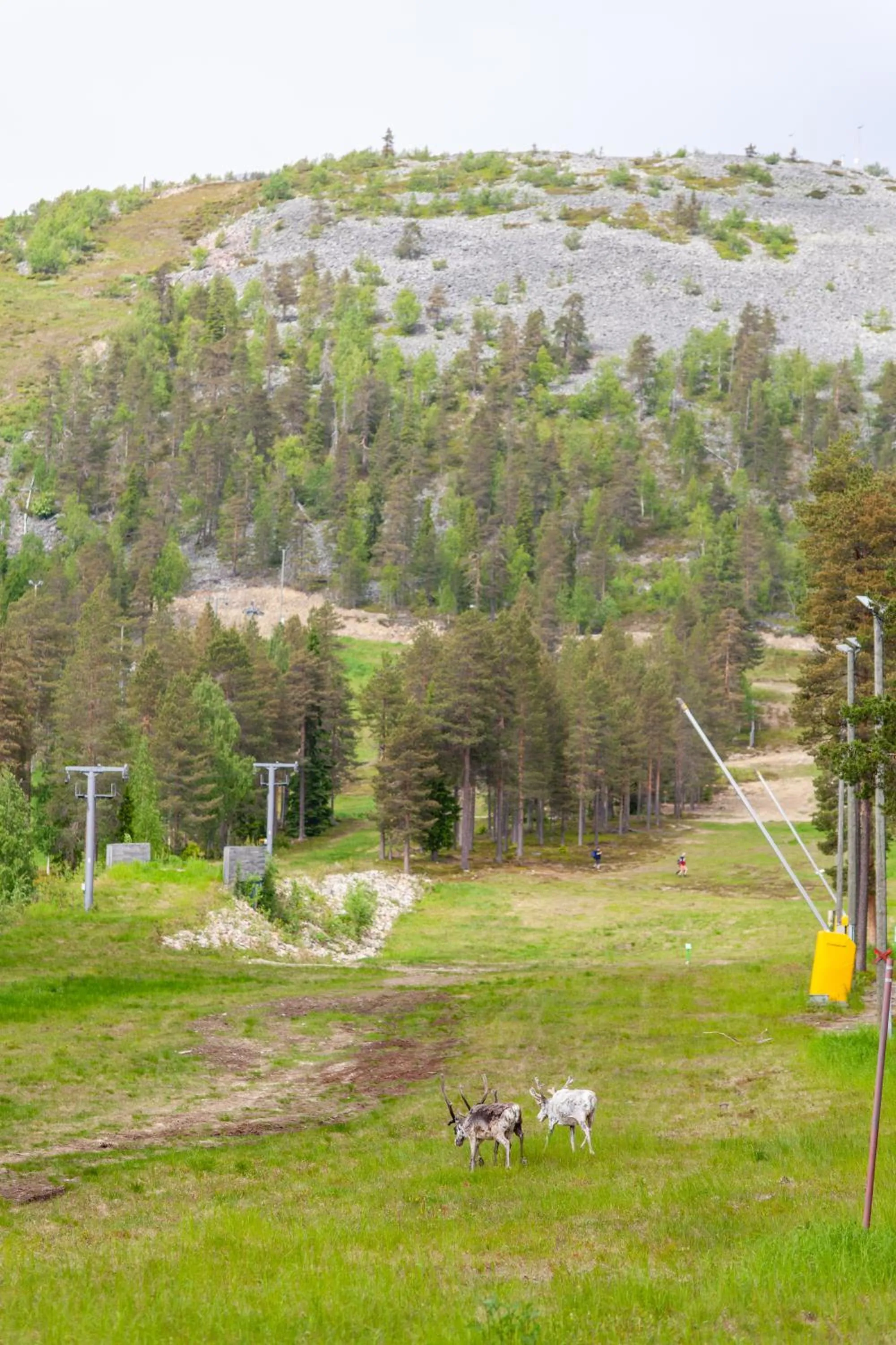 Mountain view in Pyhä Igloos