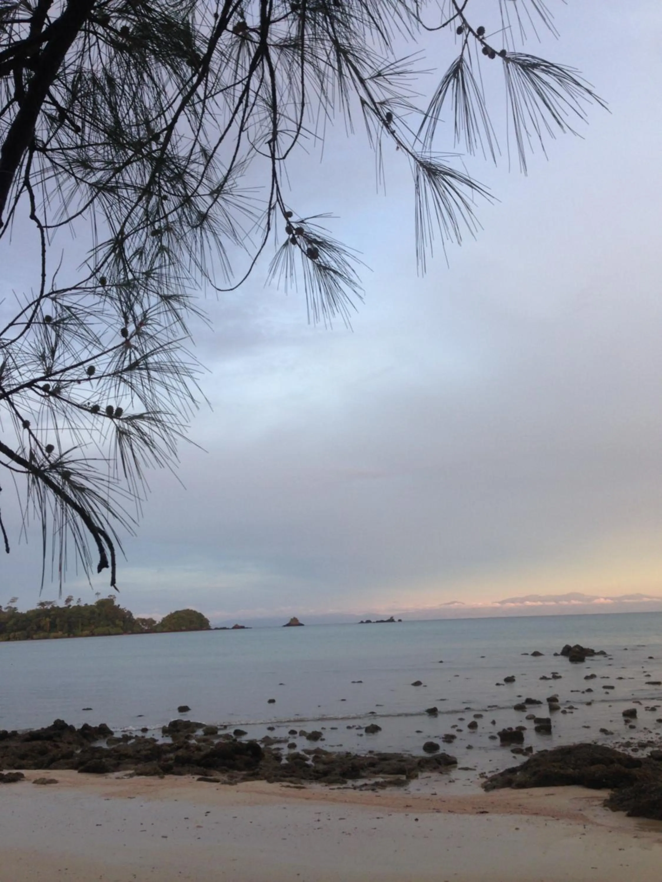 The Shadow House & Bar