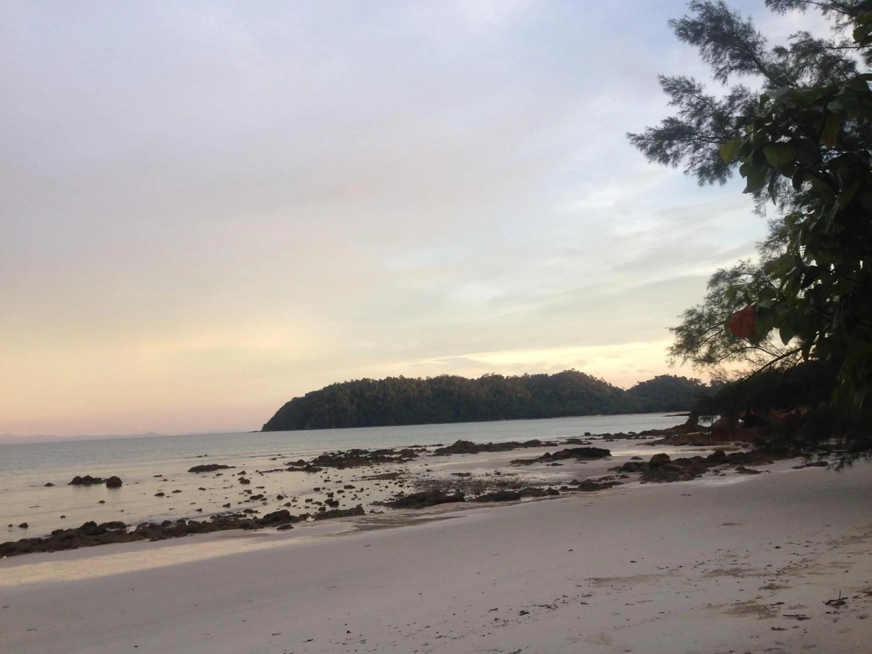 The Shadow House & Bar