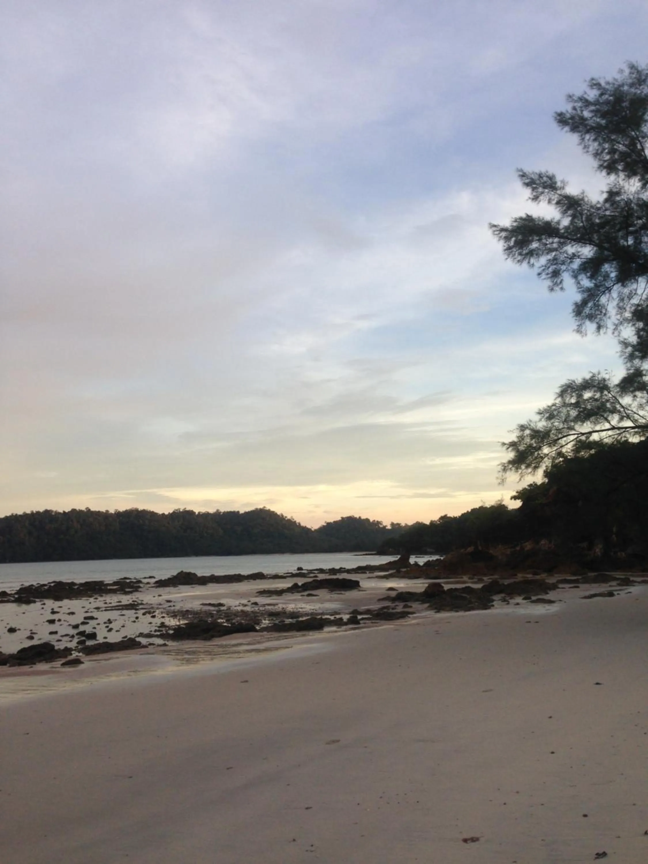 The Shadow House & Bar