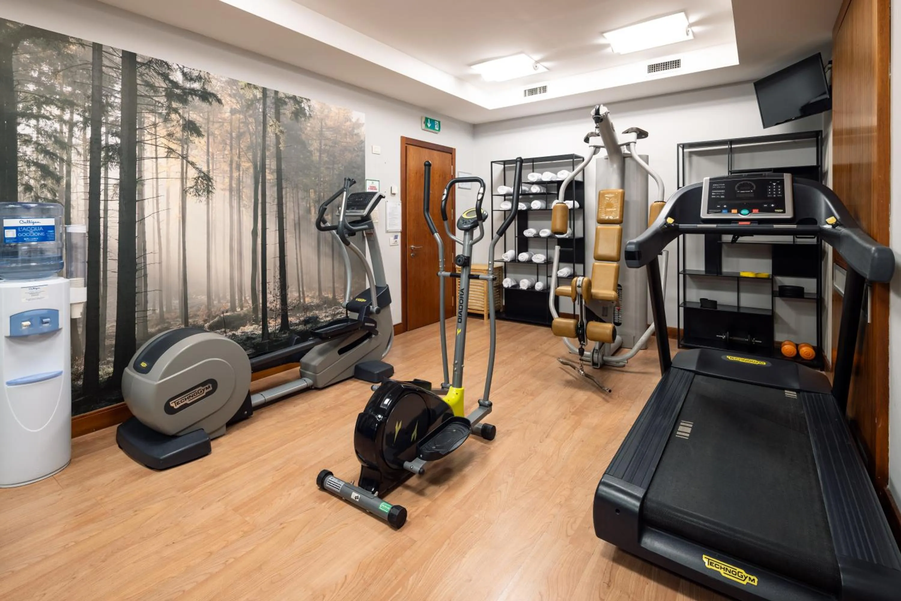 Fitness centre/facilities in Holiday Inn Milan Garibaldi Station by IHG