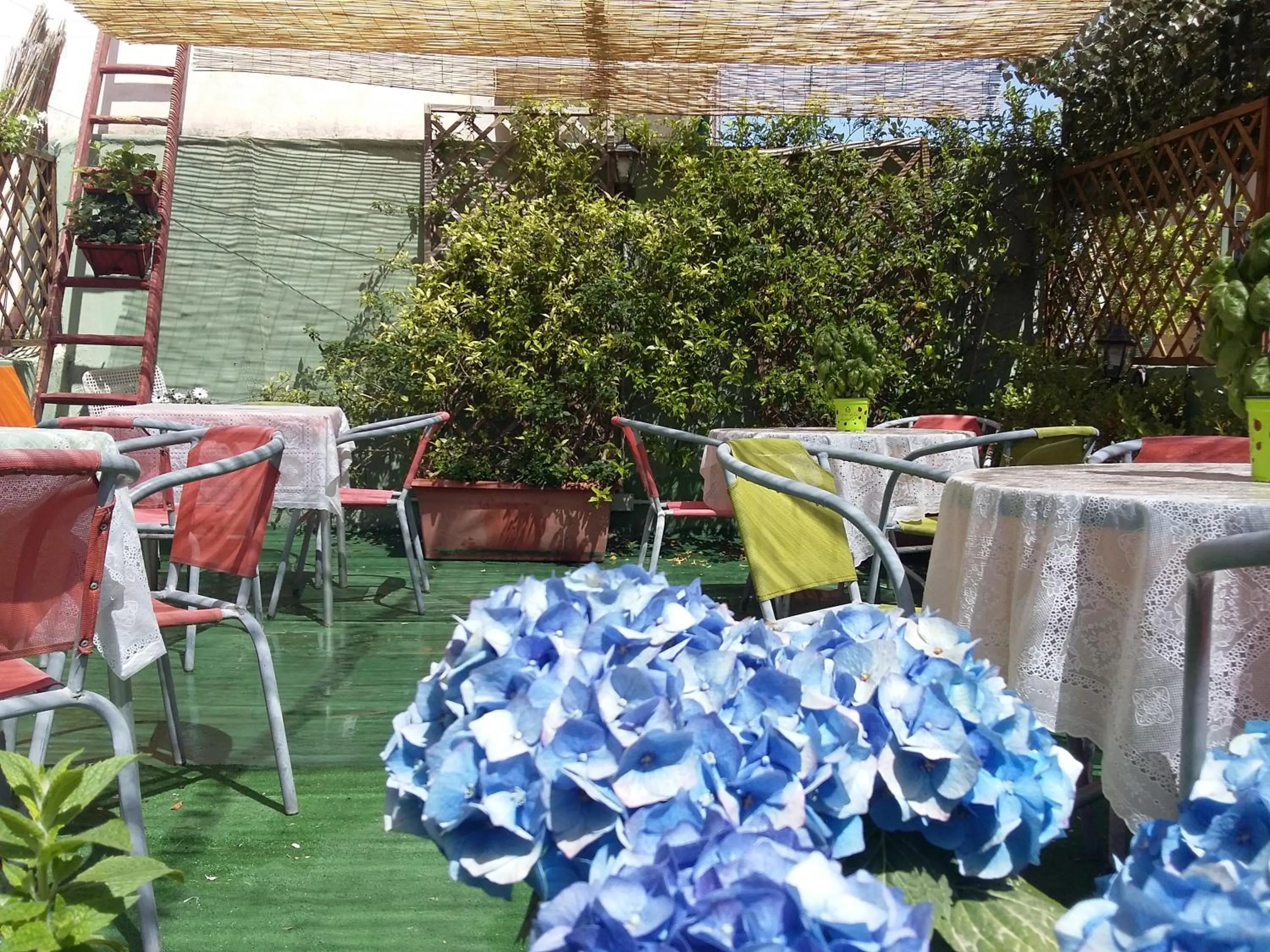 Staff in B&B Dolcevita