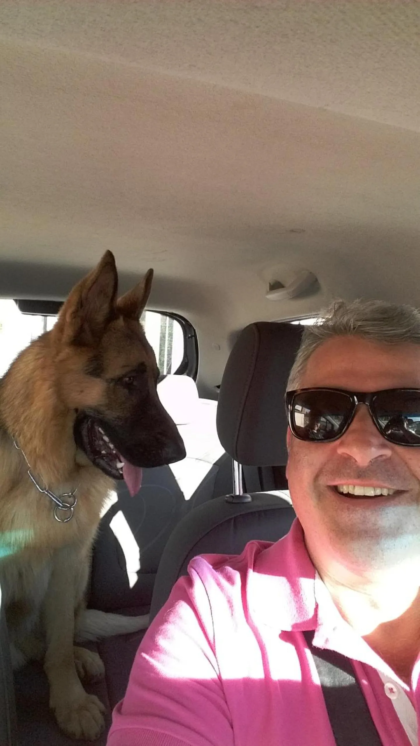 Pets in B&B Dolcevita