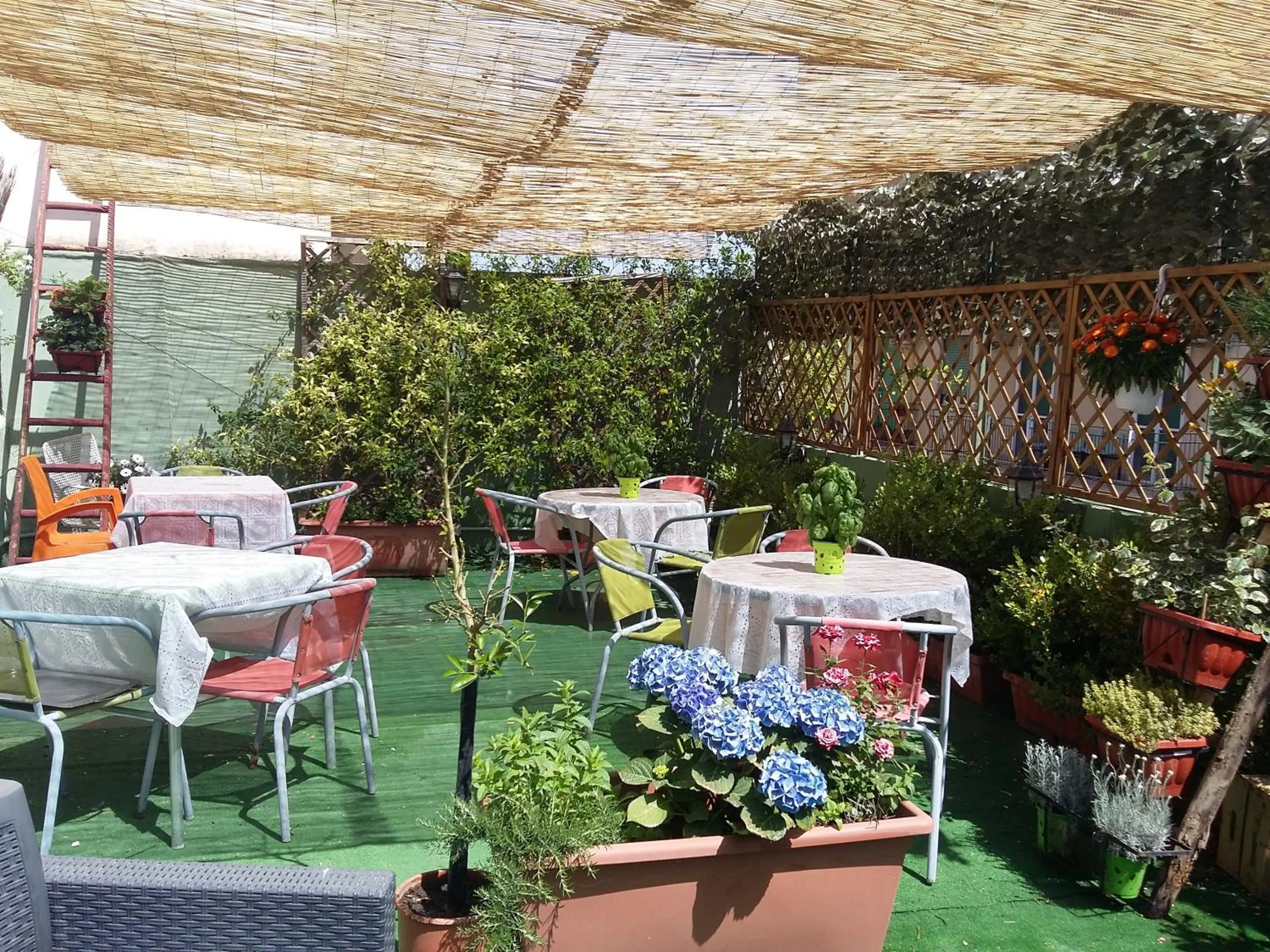 Bird's eye view in B&B Dolcevita