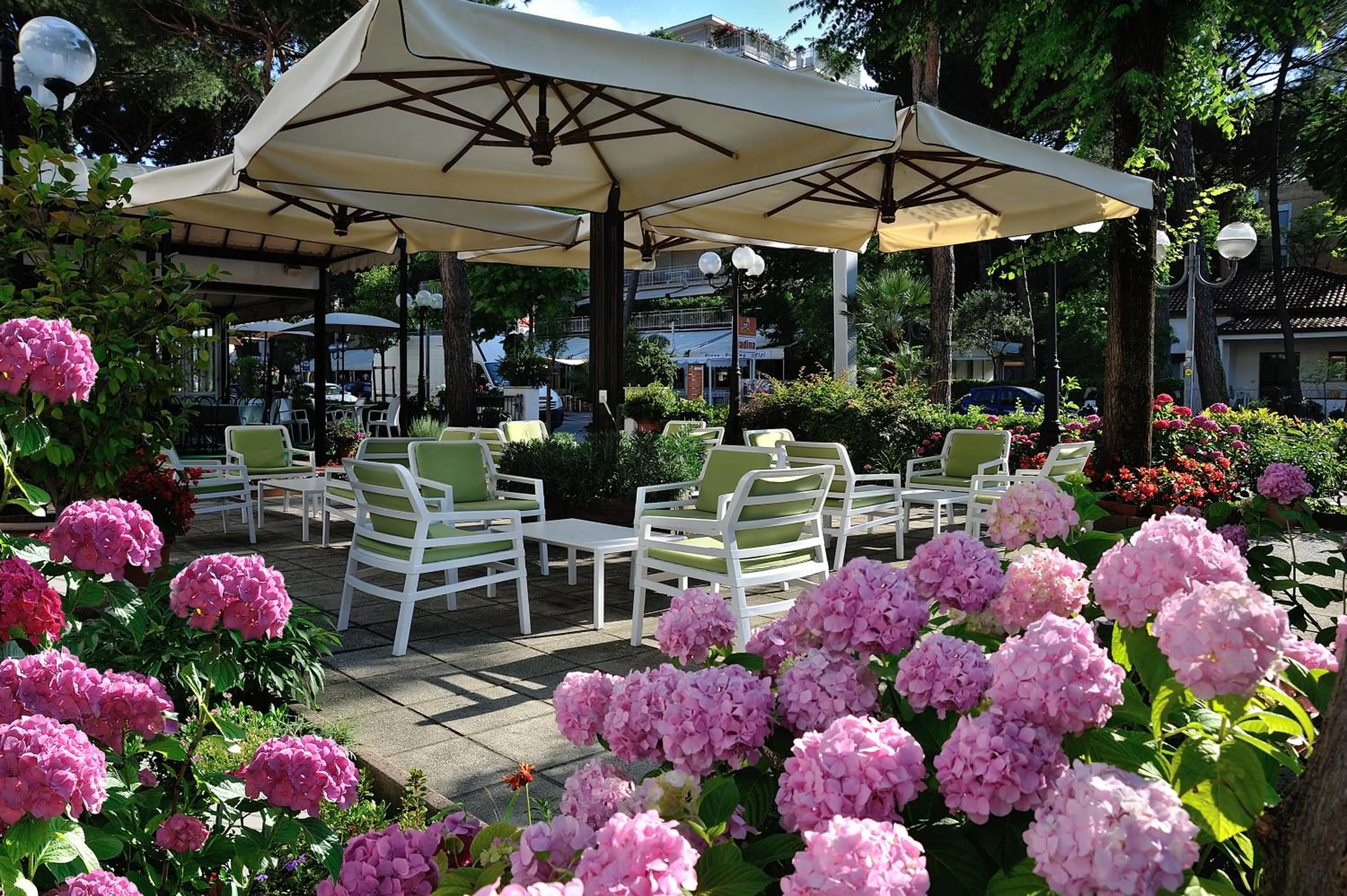 Garden in Hotel Suisse