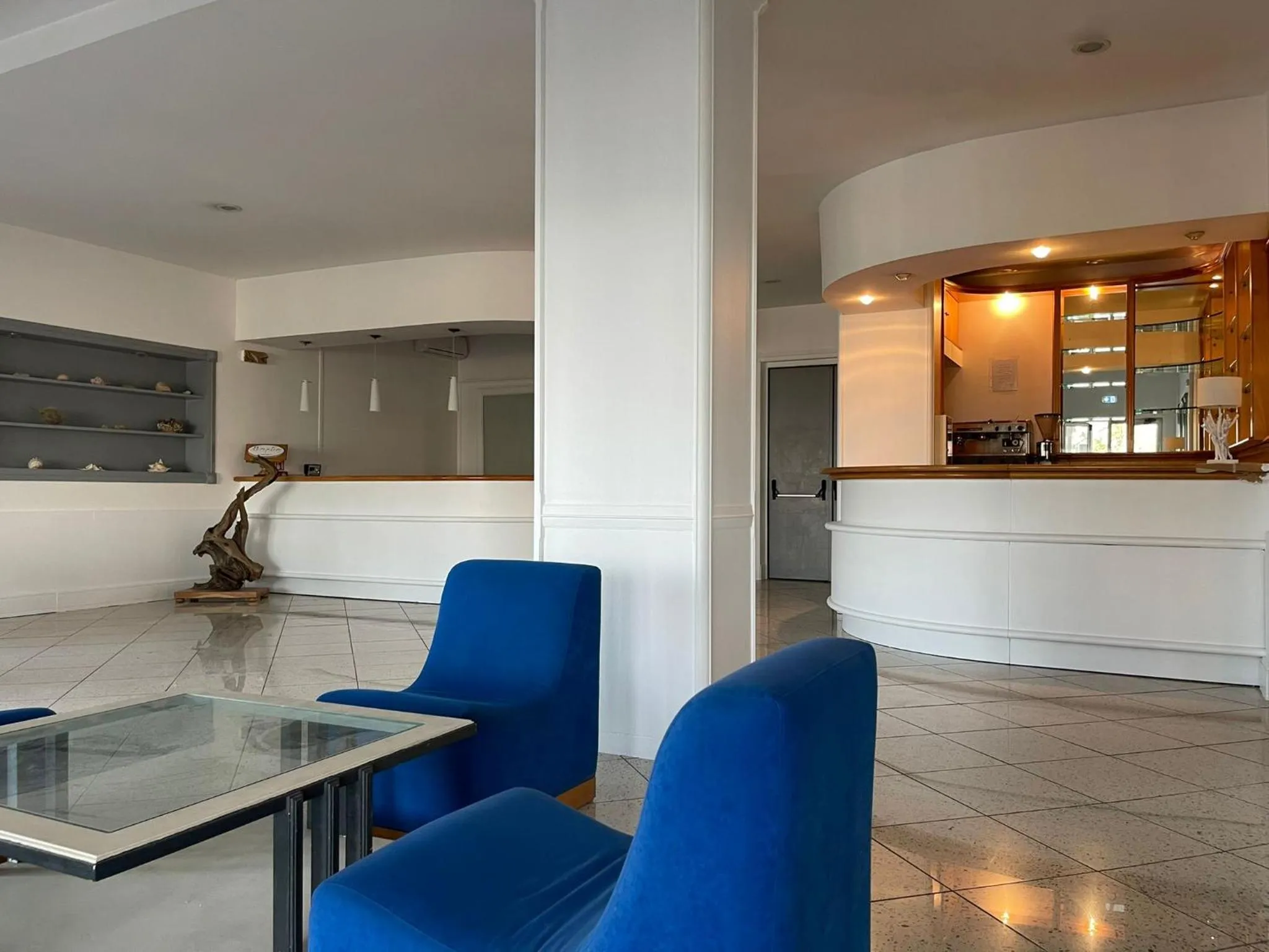 Gatto Bianco Casalabate