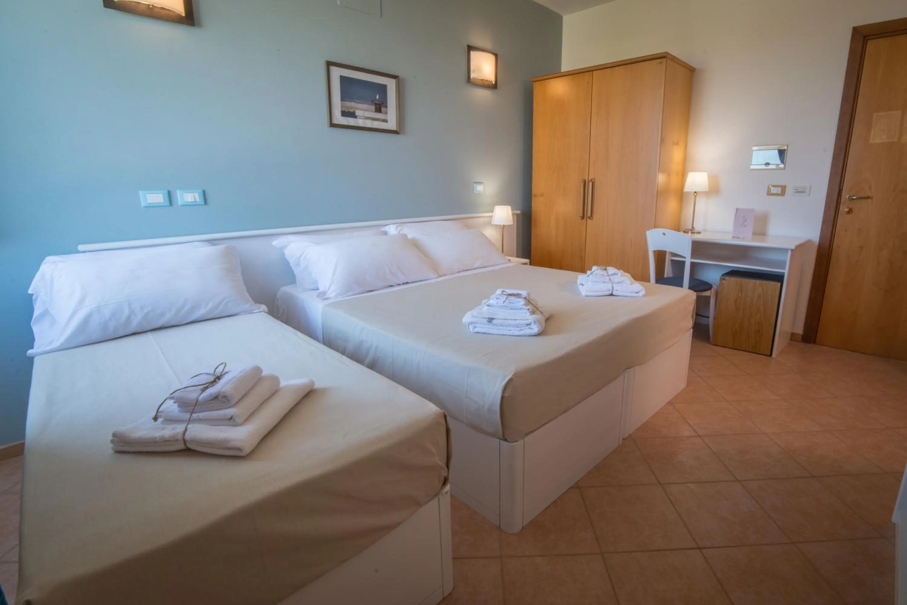 Gatto Bianco Casalabate