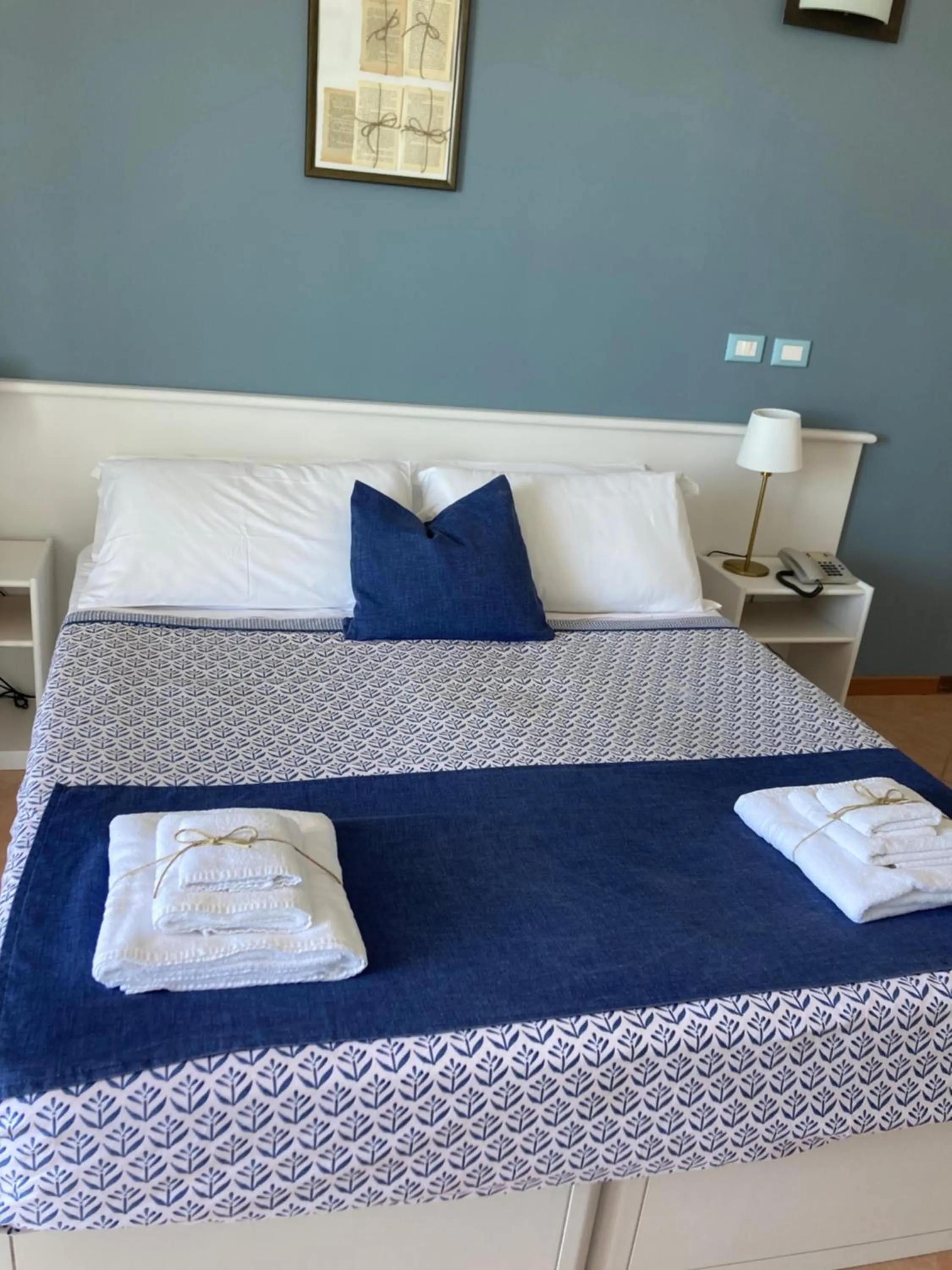 Gatto Bianco Casalabate