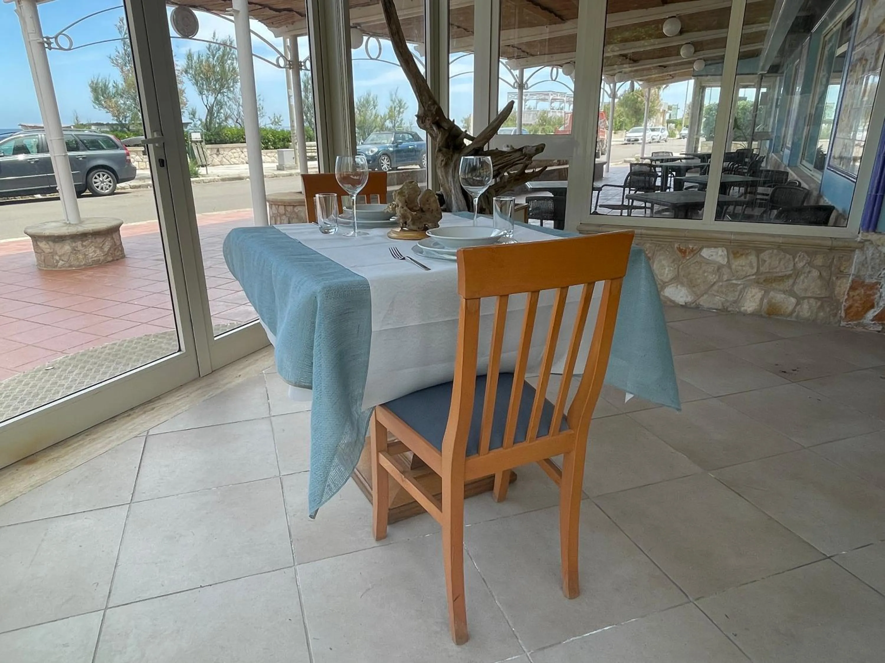 Gatto Bianco Casalabate