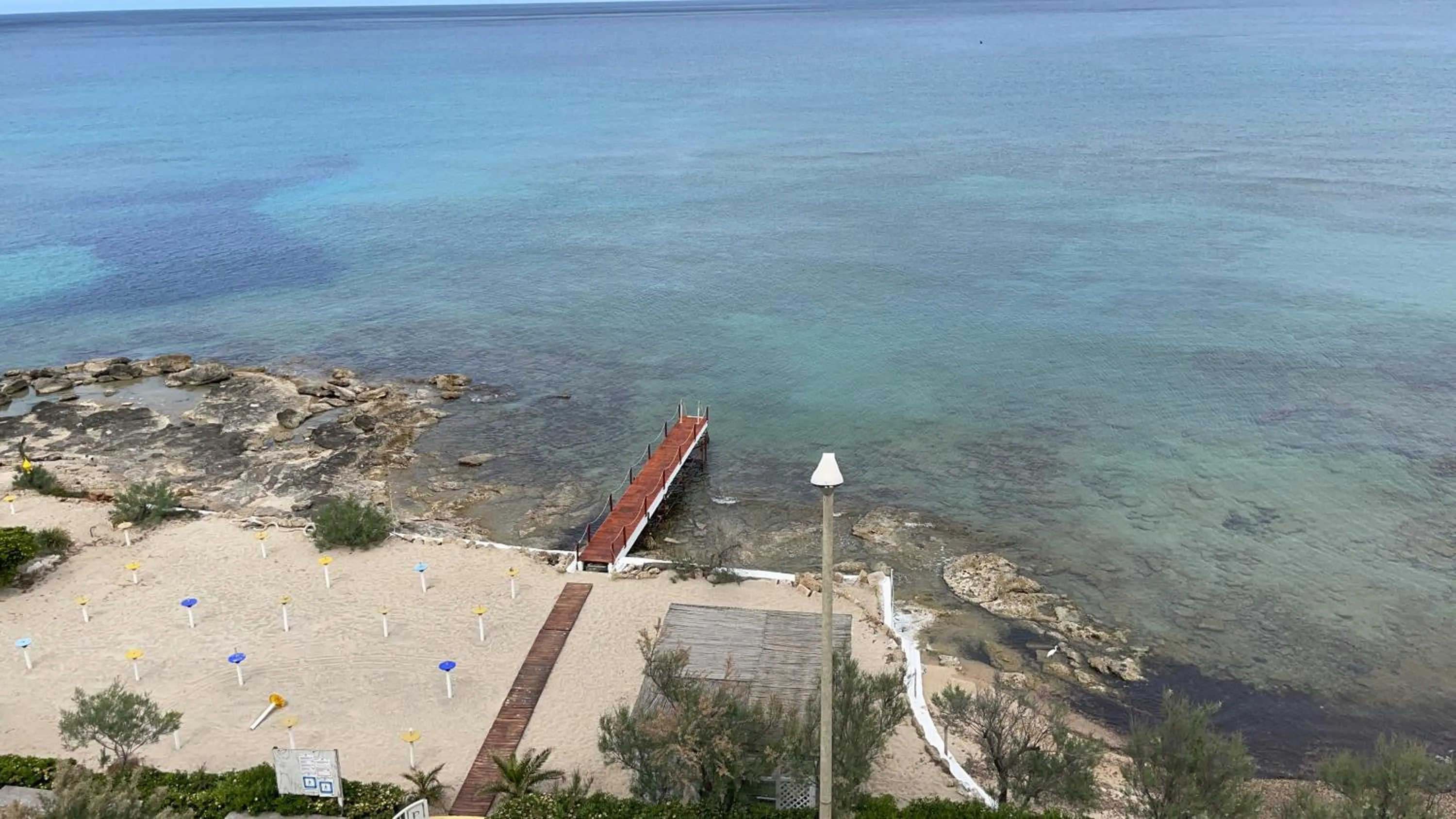 Gatto Bianco Casalabate