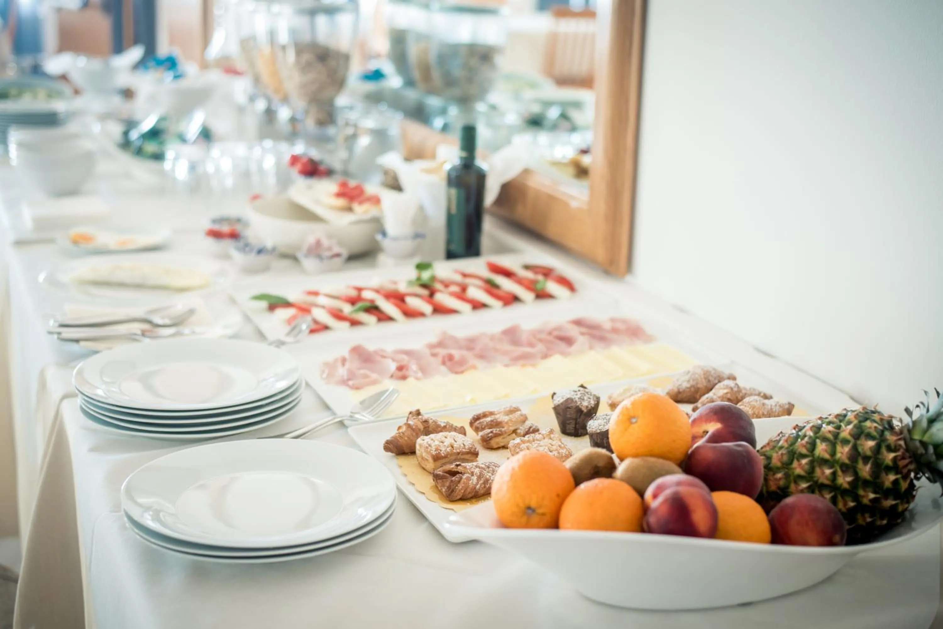 Gatto Bianco Casalabate