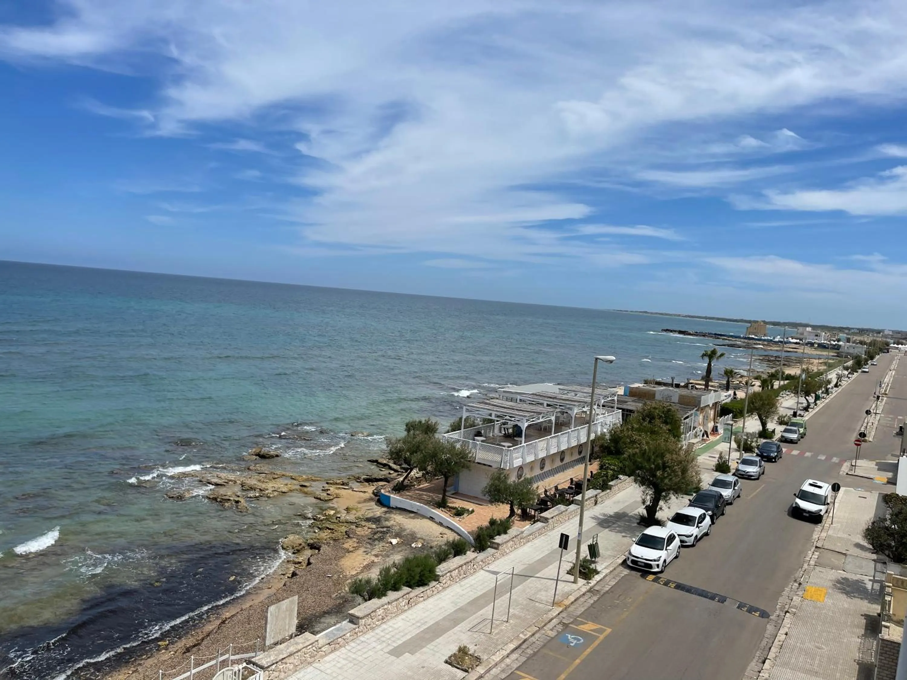 Gatto Bianco Casalabate