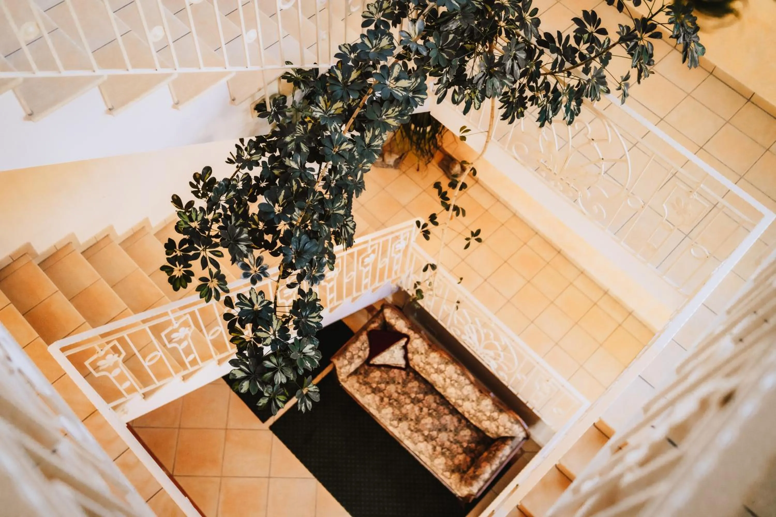 Patio in Köhlers Krone