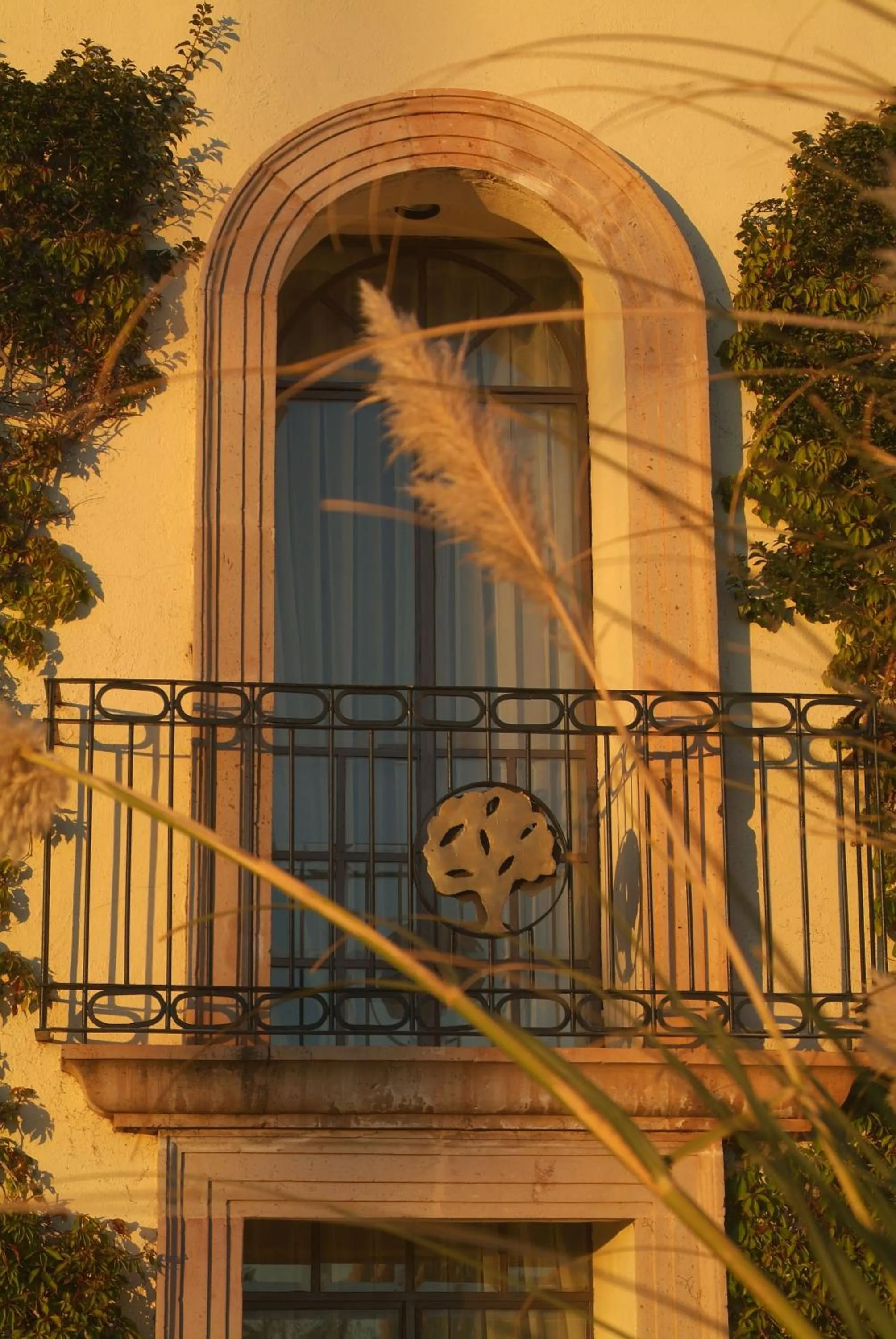 Balcony/Terrace in Hotel & Spa Hacienda Baruk