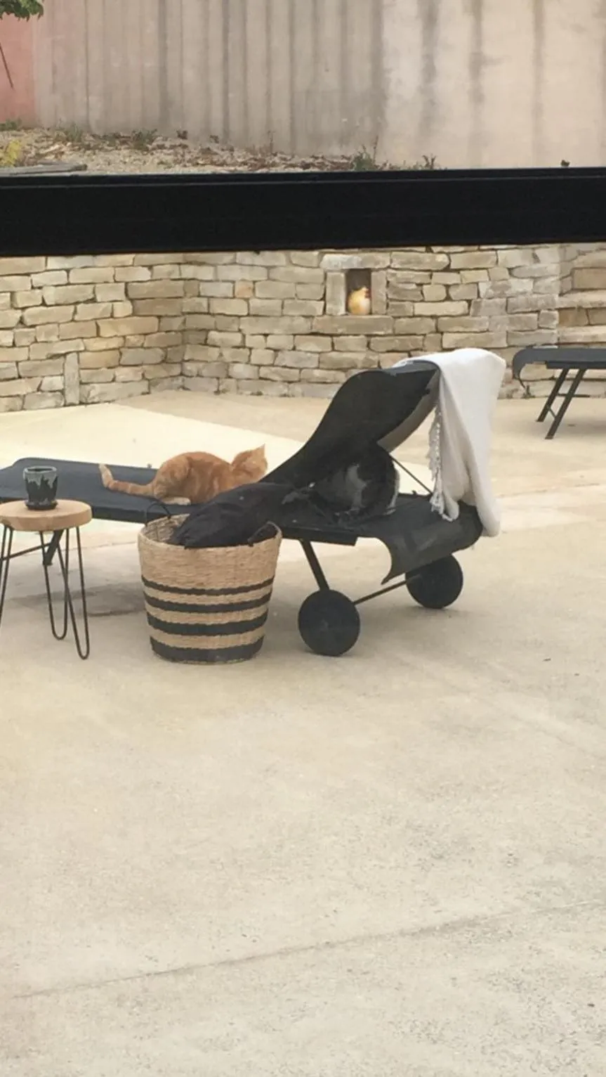 Sea view in Spa campagne design