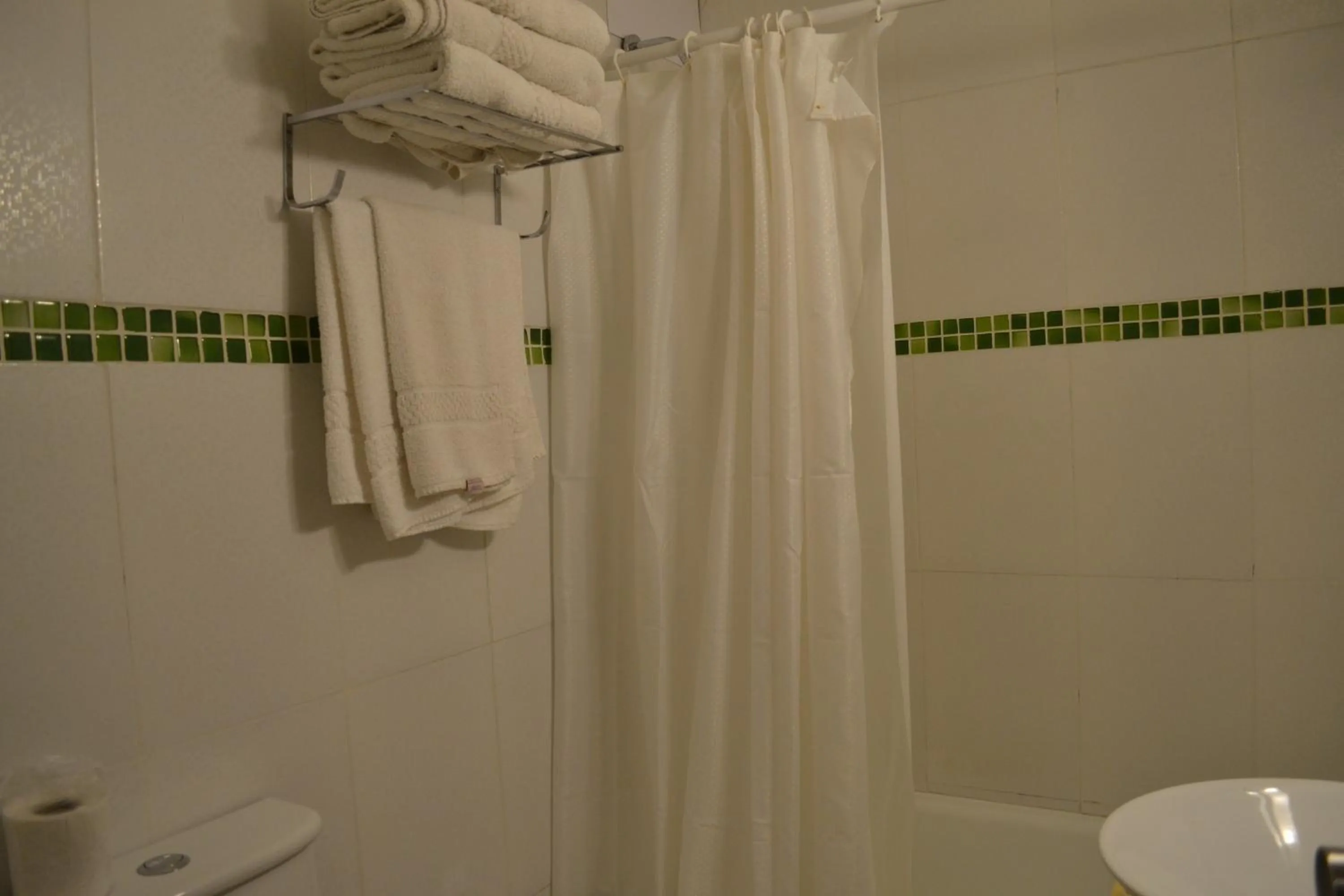 Shower in Alpino Hotel