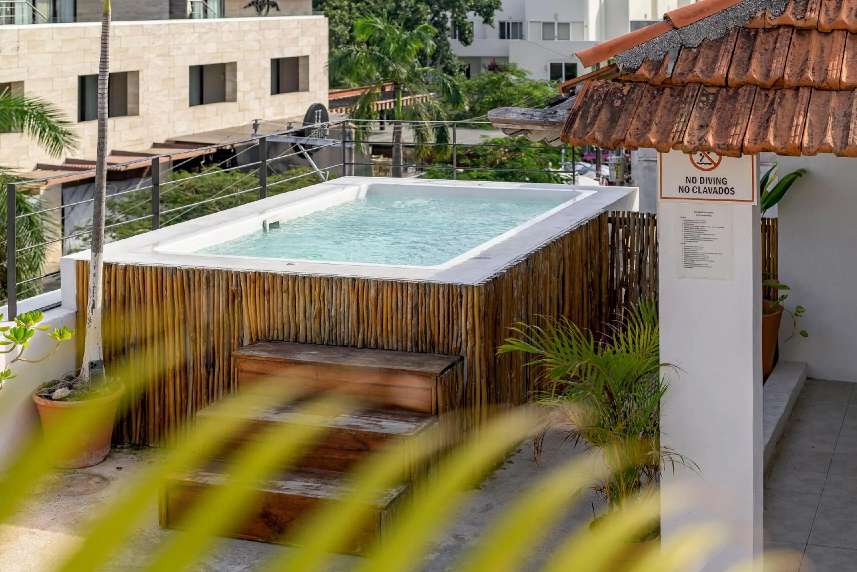 Swimming pool in Hotel Banana Boutique & Spa - 5th Av Playa del Carmen