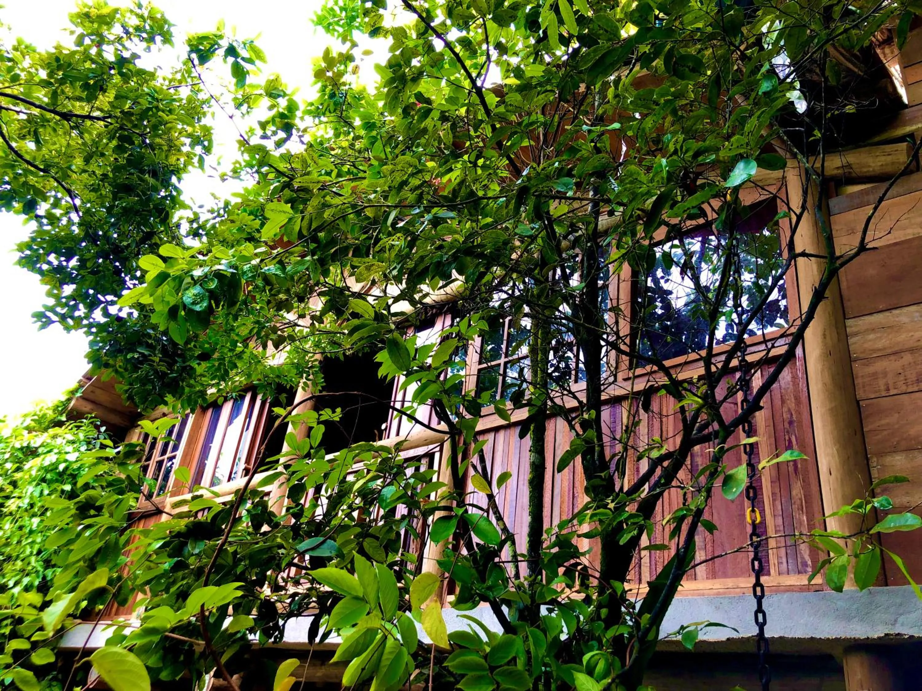 Property building in Eliza, Bangalô vista mar em Trancoso