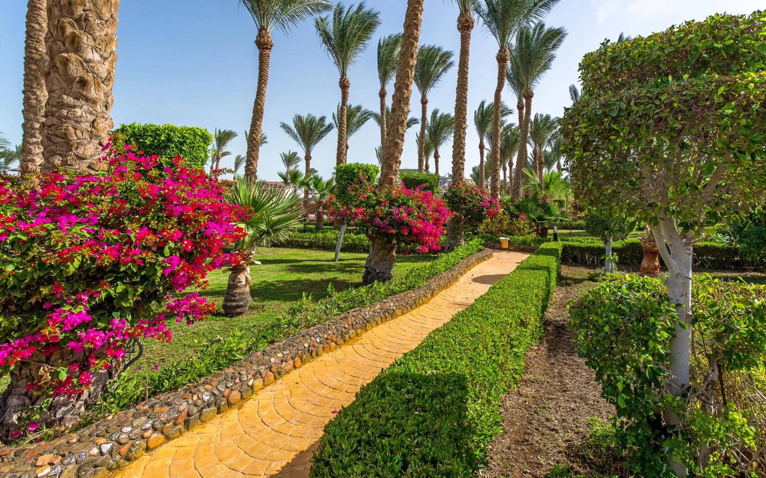 Natural landscape in Hawaii Le Jardin Aqua Resort - Families and Couples Only