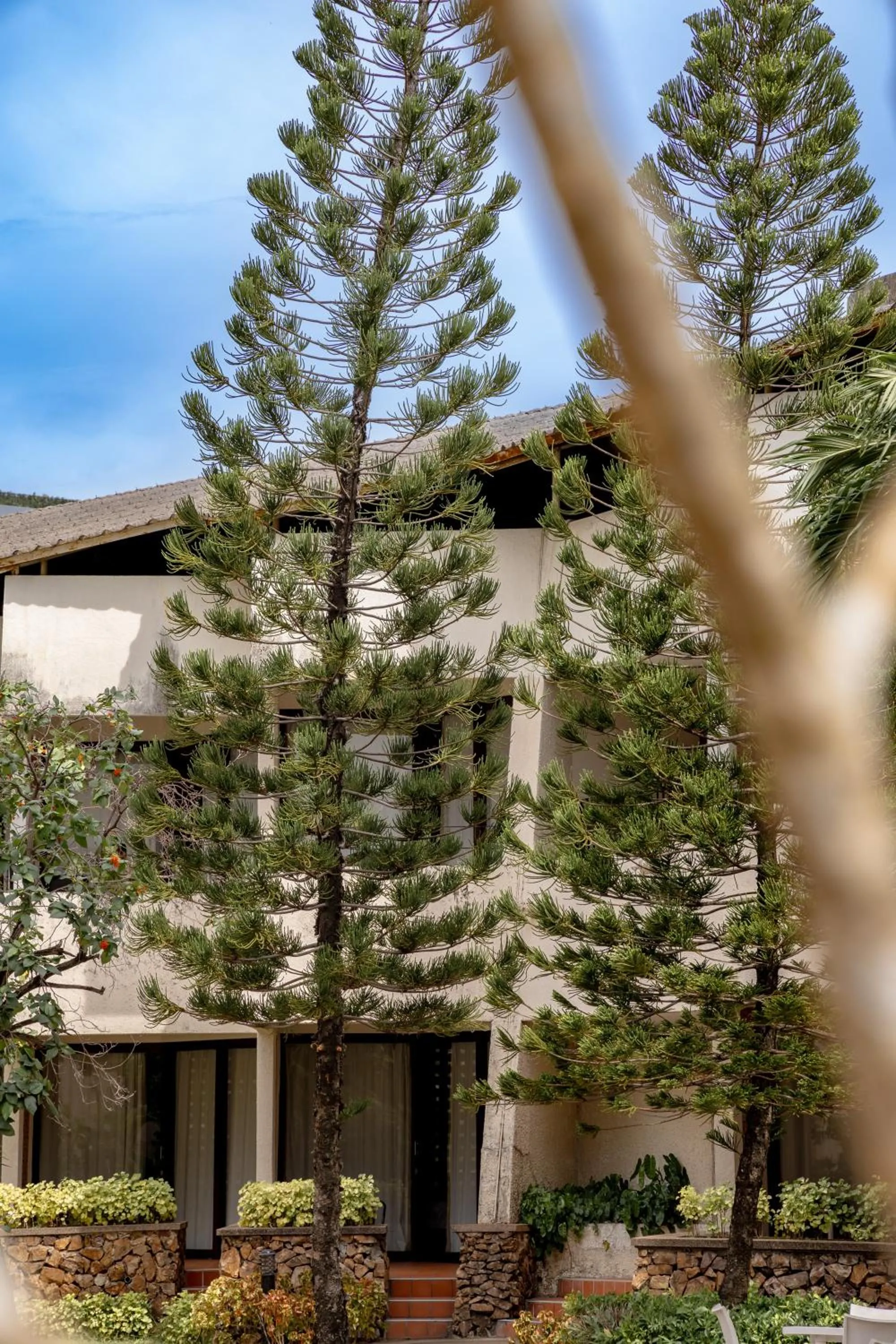 Patio in Hotel Tropicana Pattaya