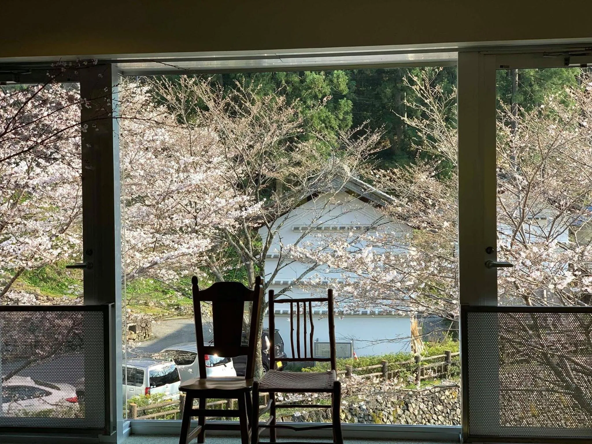 Garden view in Qraud