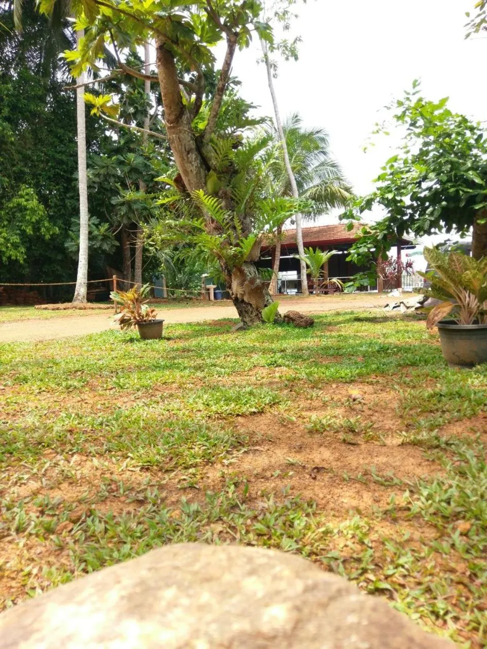 Garden in Selavi Resort Bentota