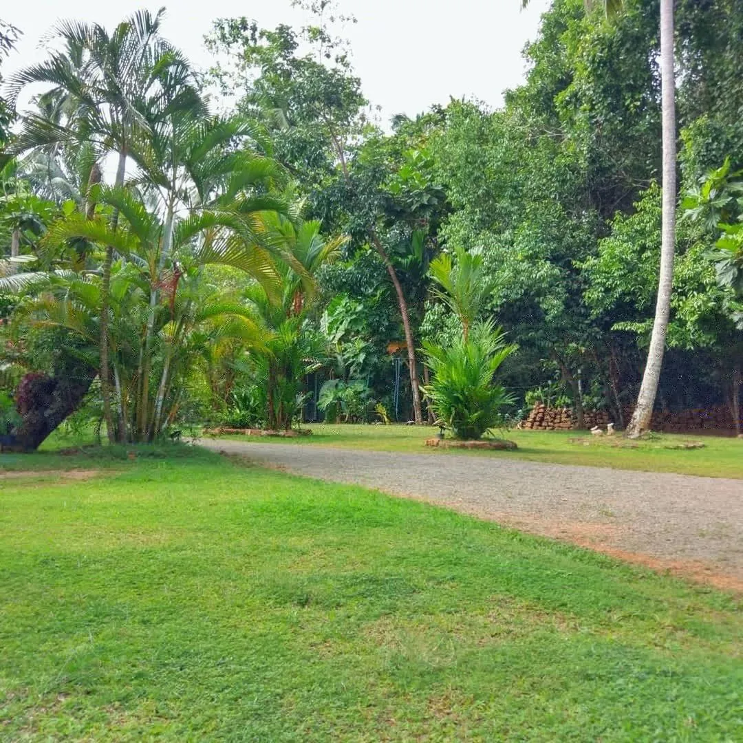 Selavi Resort Bentota