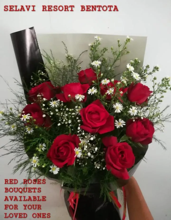 Selavi Resort Bentota