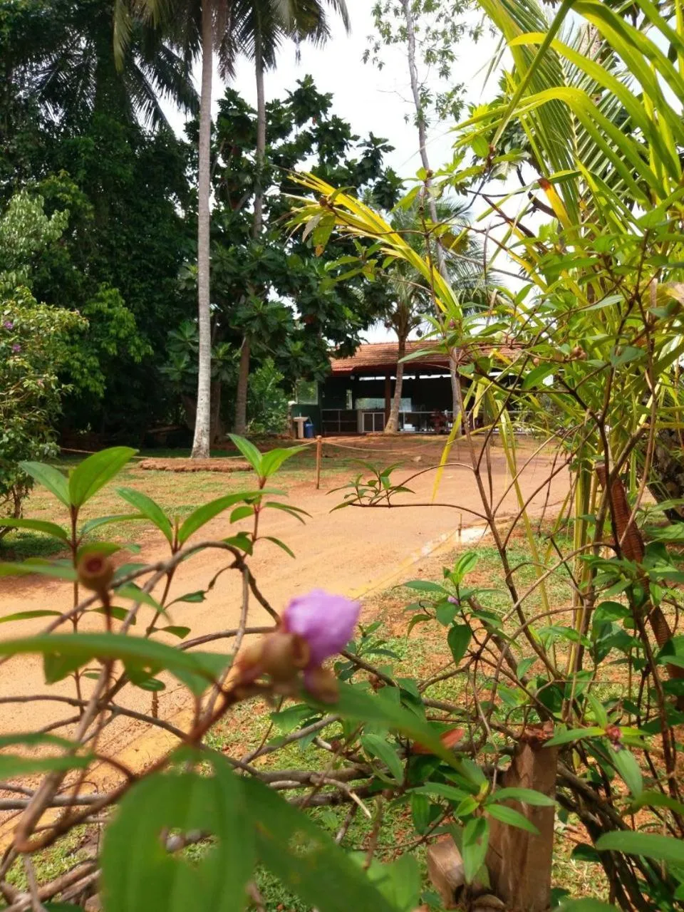 Garden in Selavi Resort Bentota