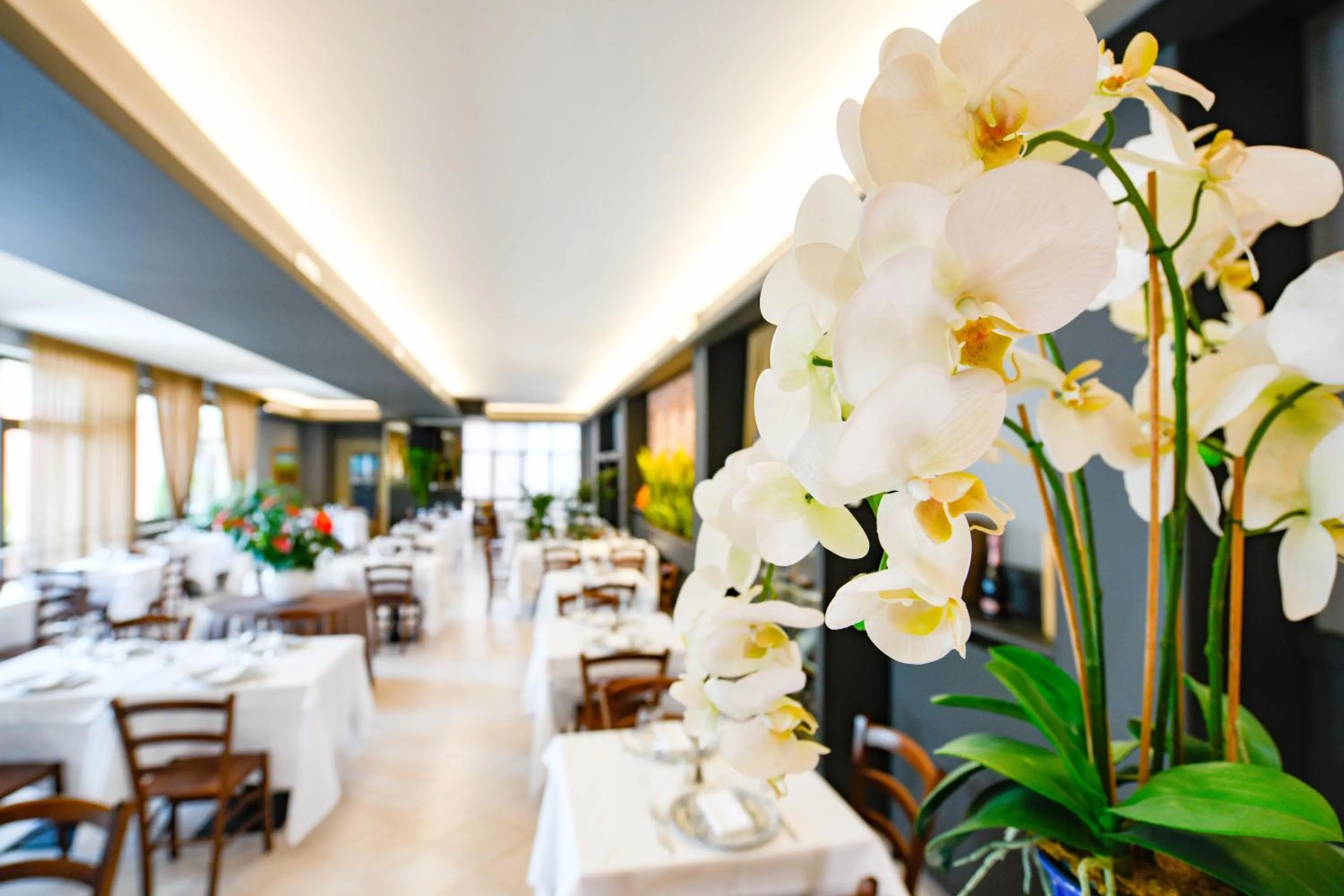 Restaurant/places to eat in Albergo Locanda Primavera