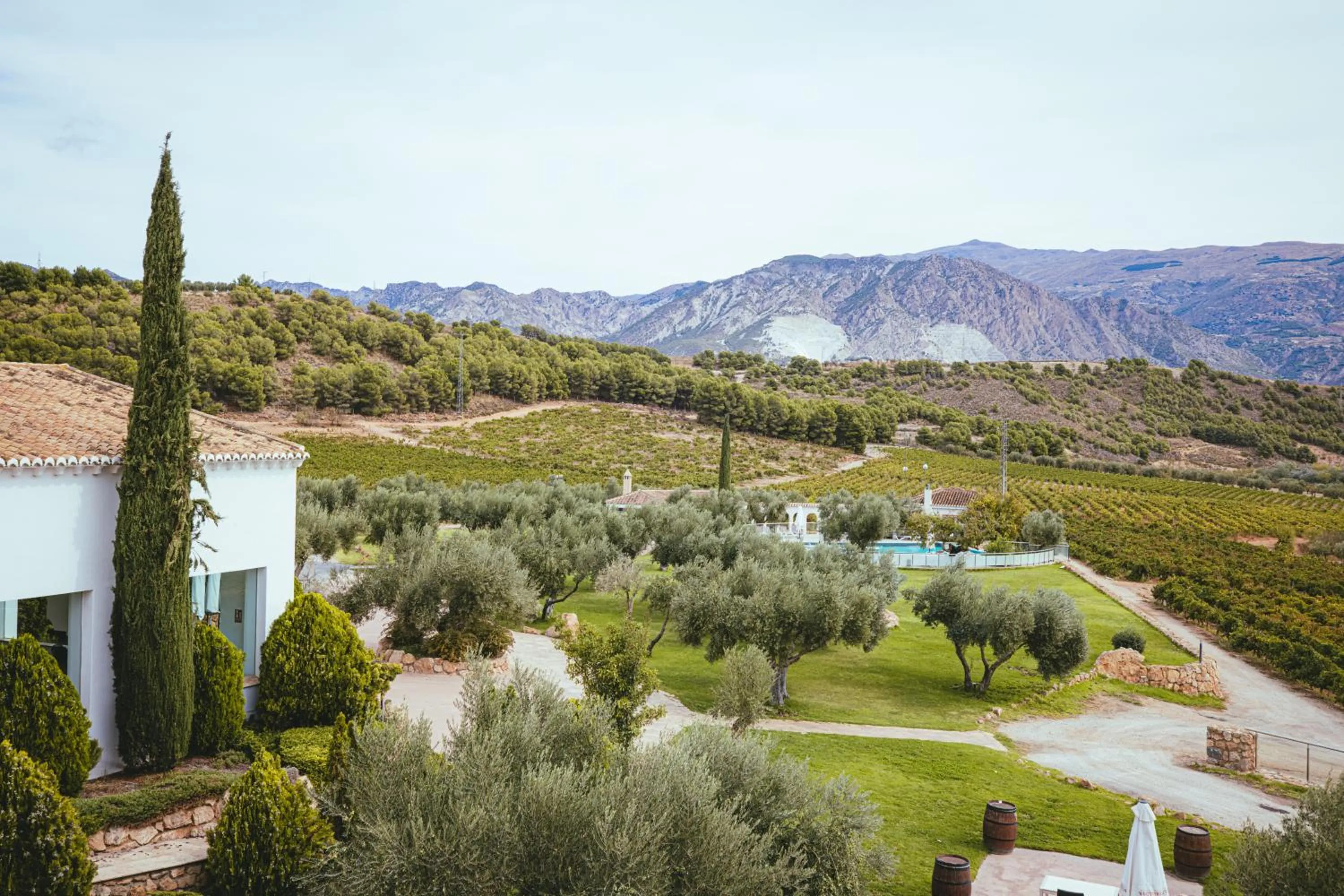 Off site in Hotel & Winery Señorío de Nevada